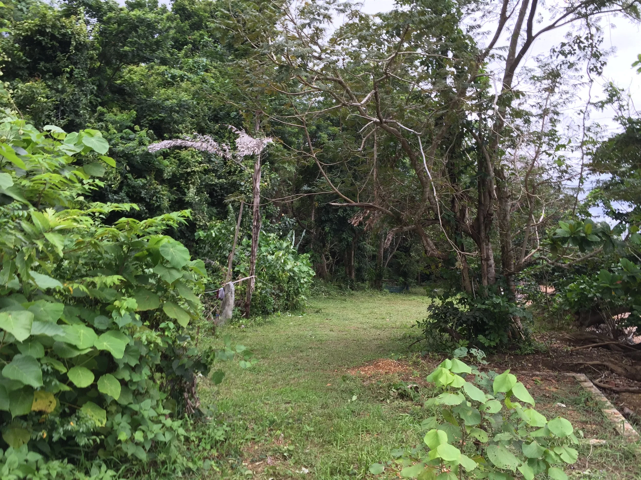2015 Koh Lanta Garden & Nature (198).JPG