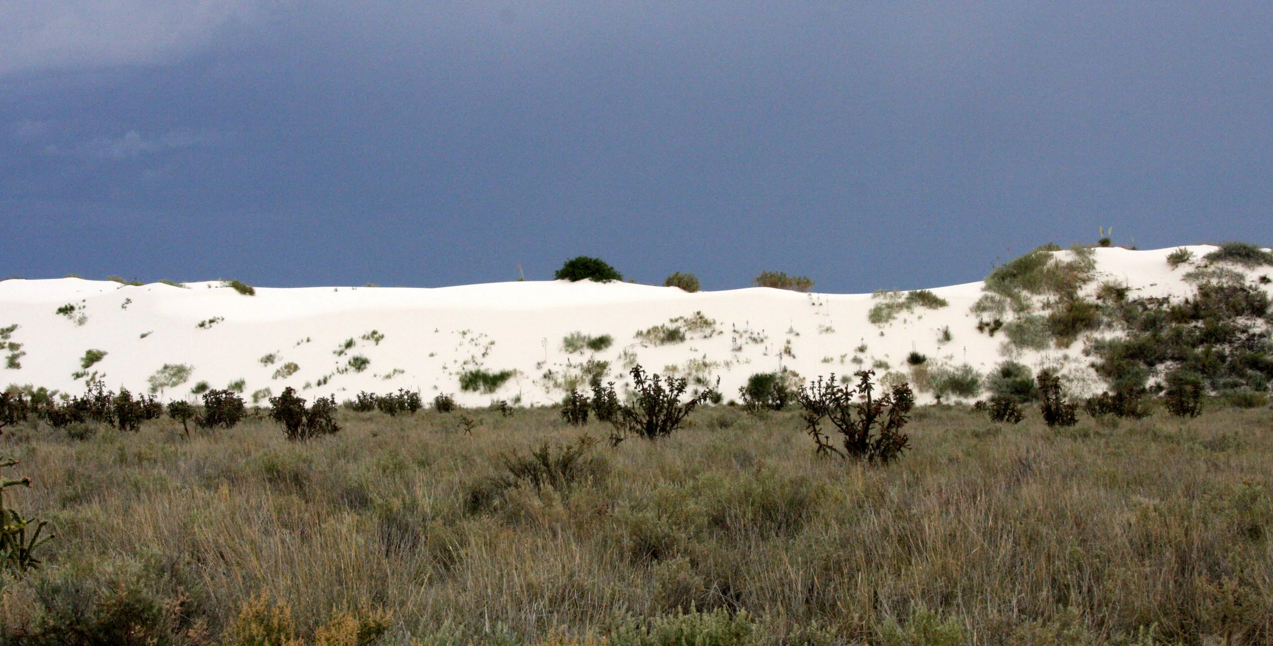 WHITE SANDS NATIONAL MONUMENT.JPG