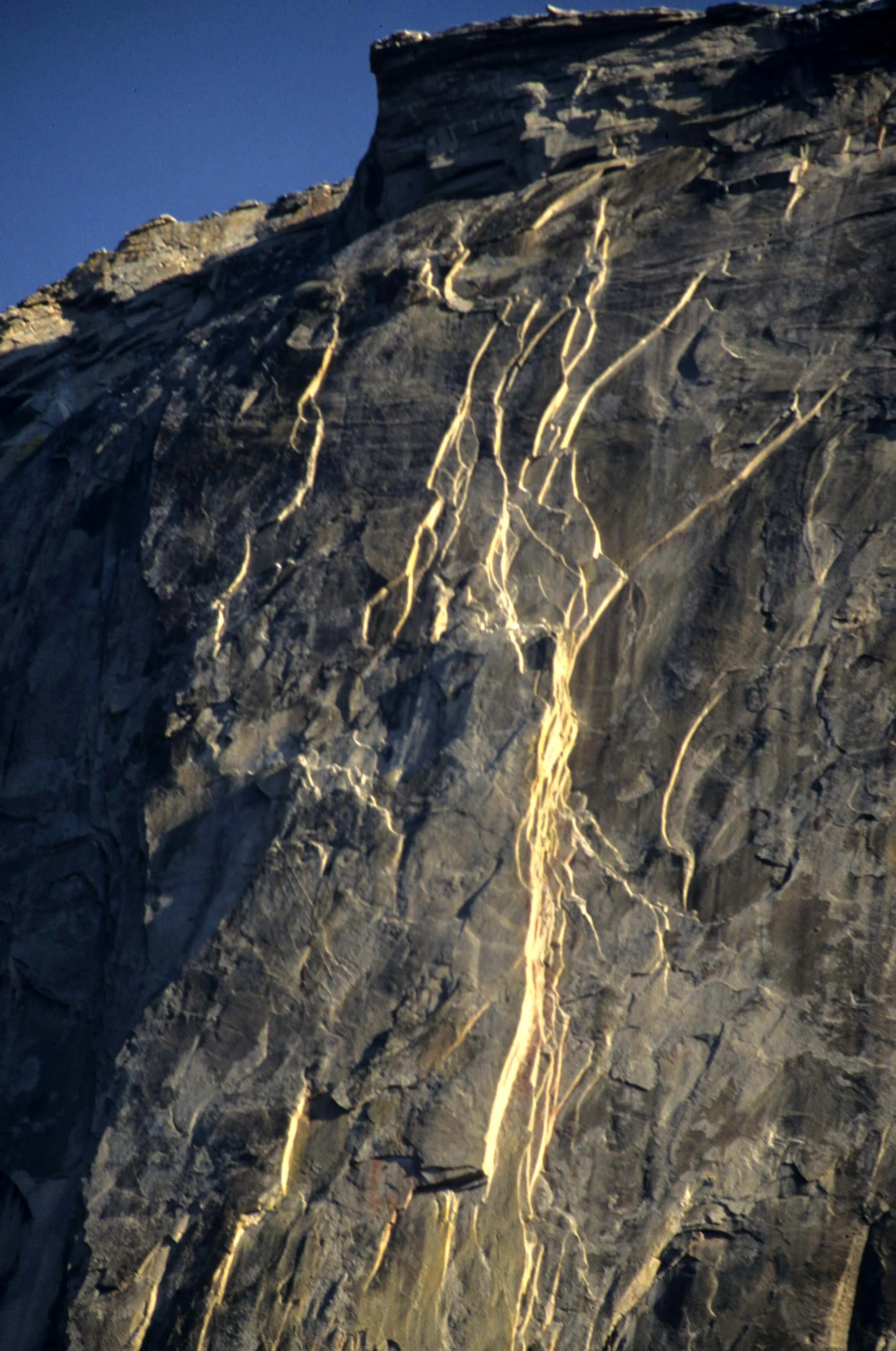 CALIFORNIA - YOSEMITE NATIONAL PARK.jpg