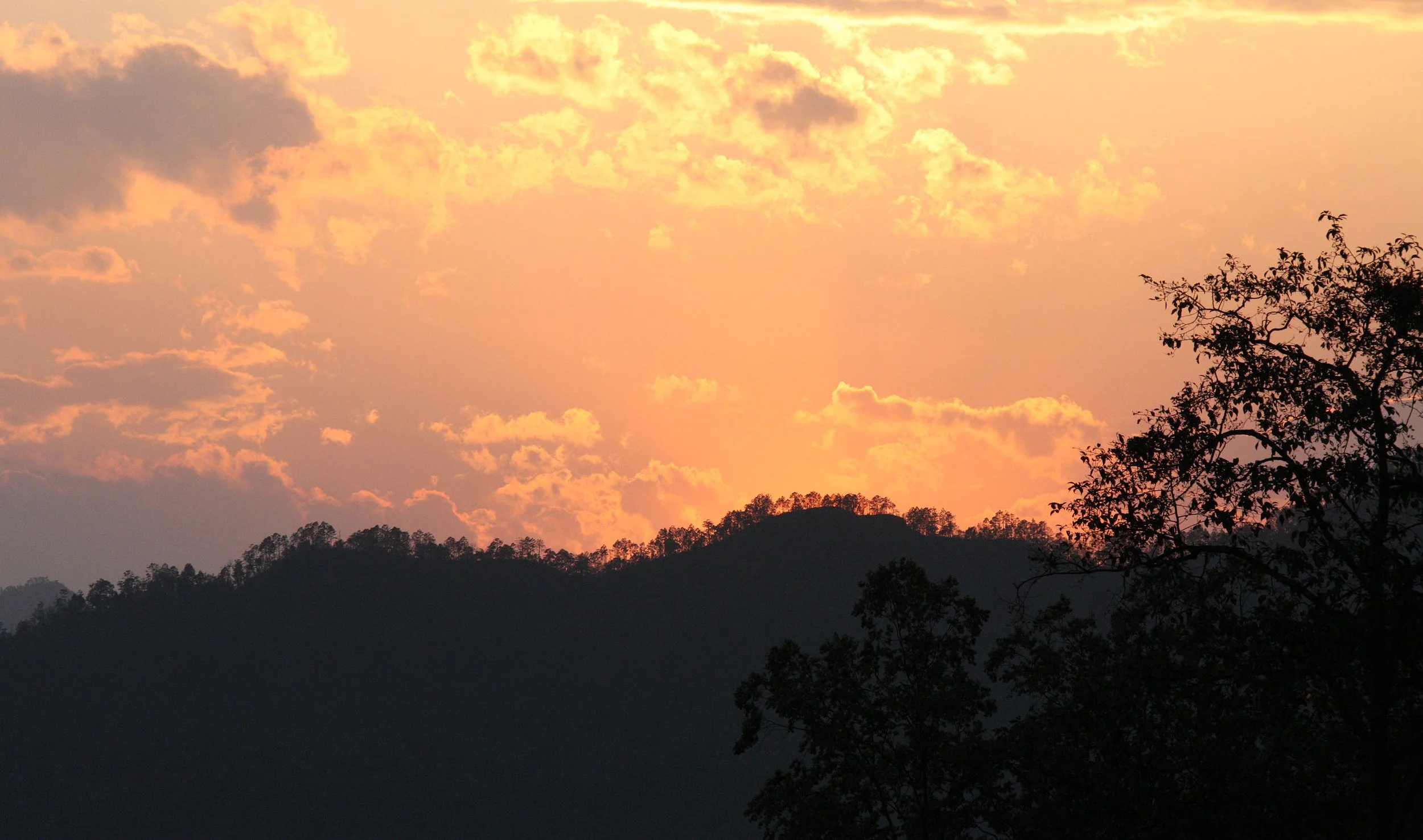 YUNNAN - WULIANGSHAN NATURE RESERVE AND SURROUNDING REGION (65).JPG