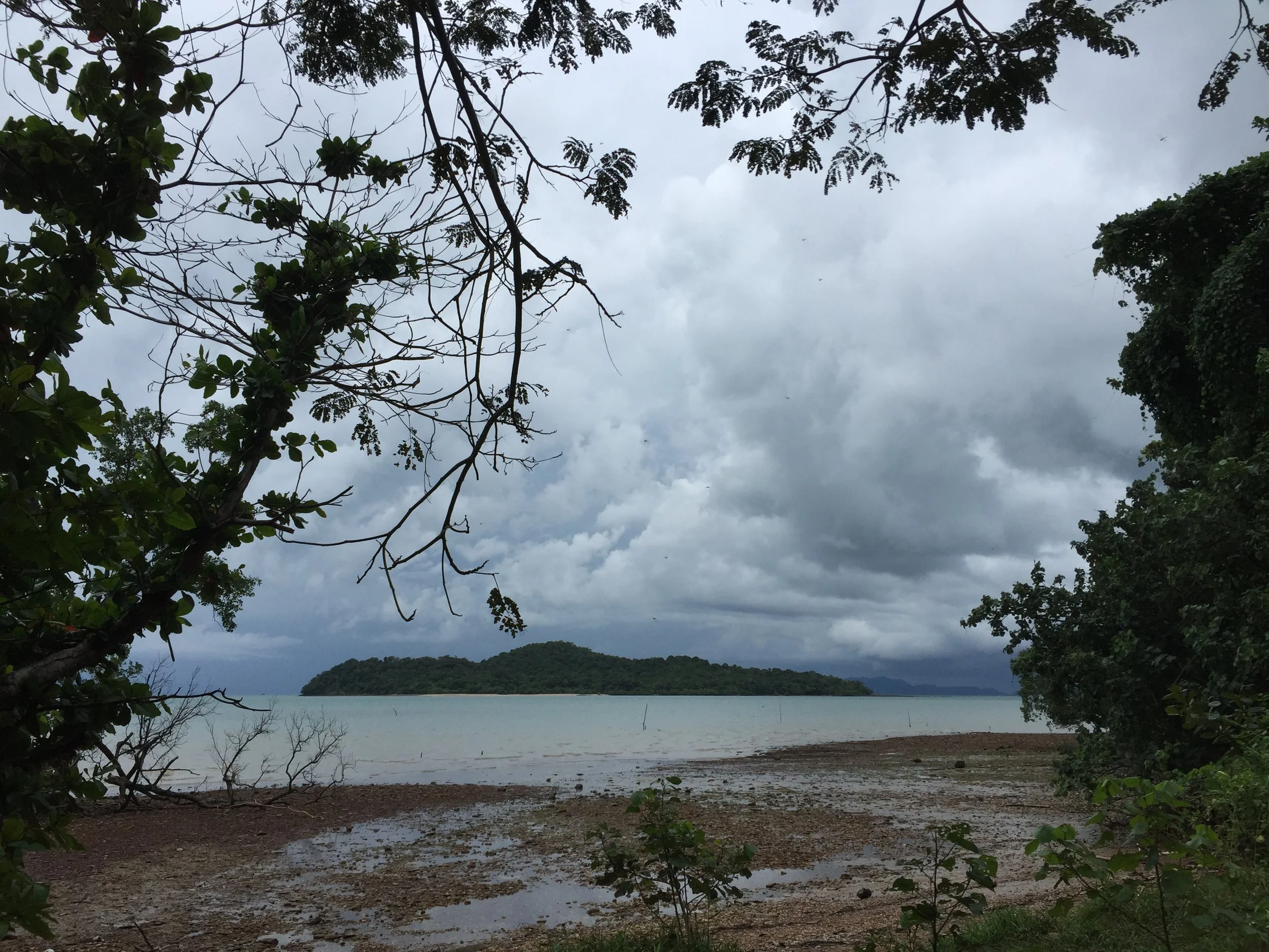 2015 Koh Lanta Garden & Nature (192).JPG