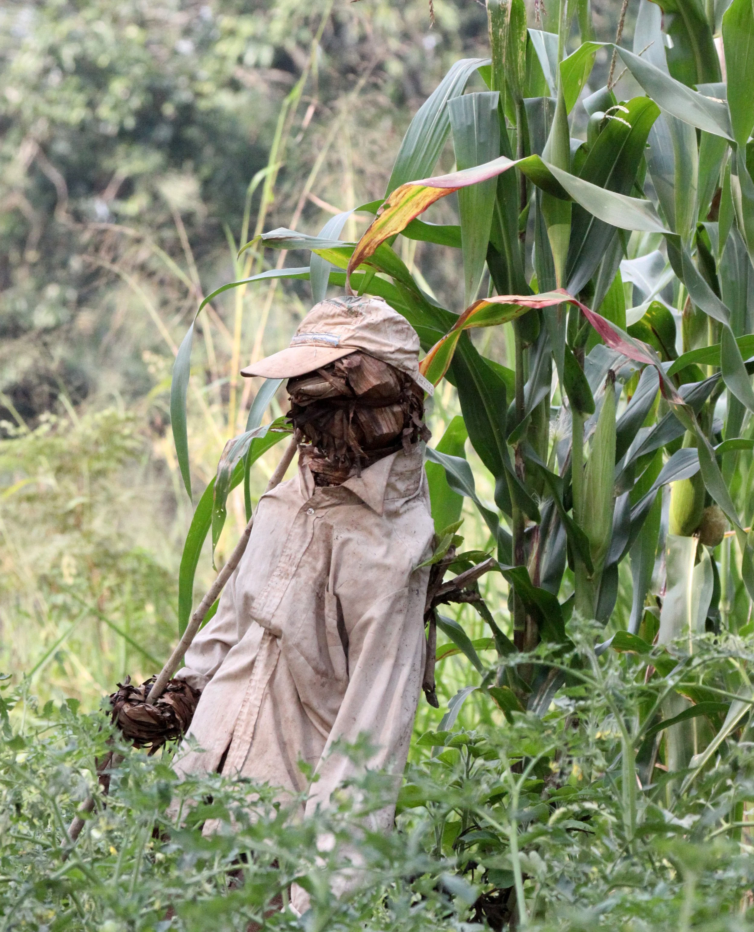 KIBALE NATIONAL PARK UGANDA BIGODI SWAMP (12).JPG