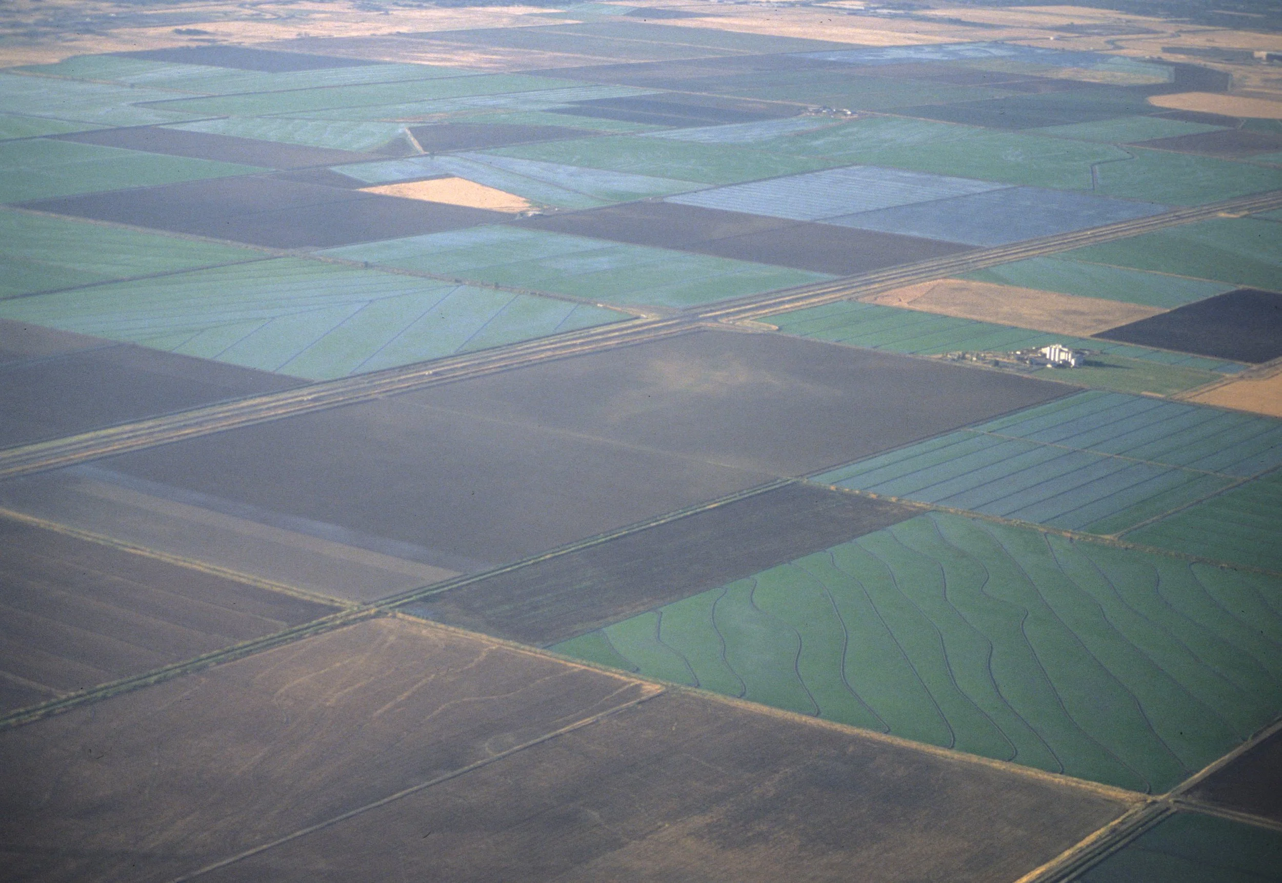 CALIFORNIA - CENTRAL VALLEY - SAN JOAQUIN.jpg