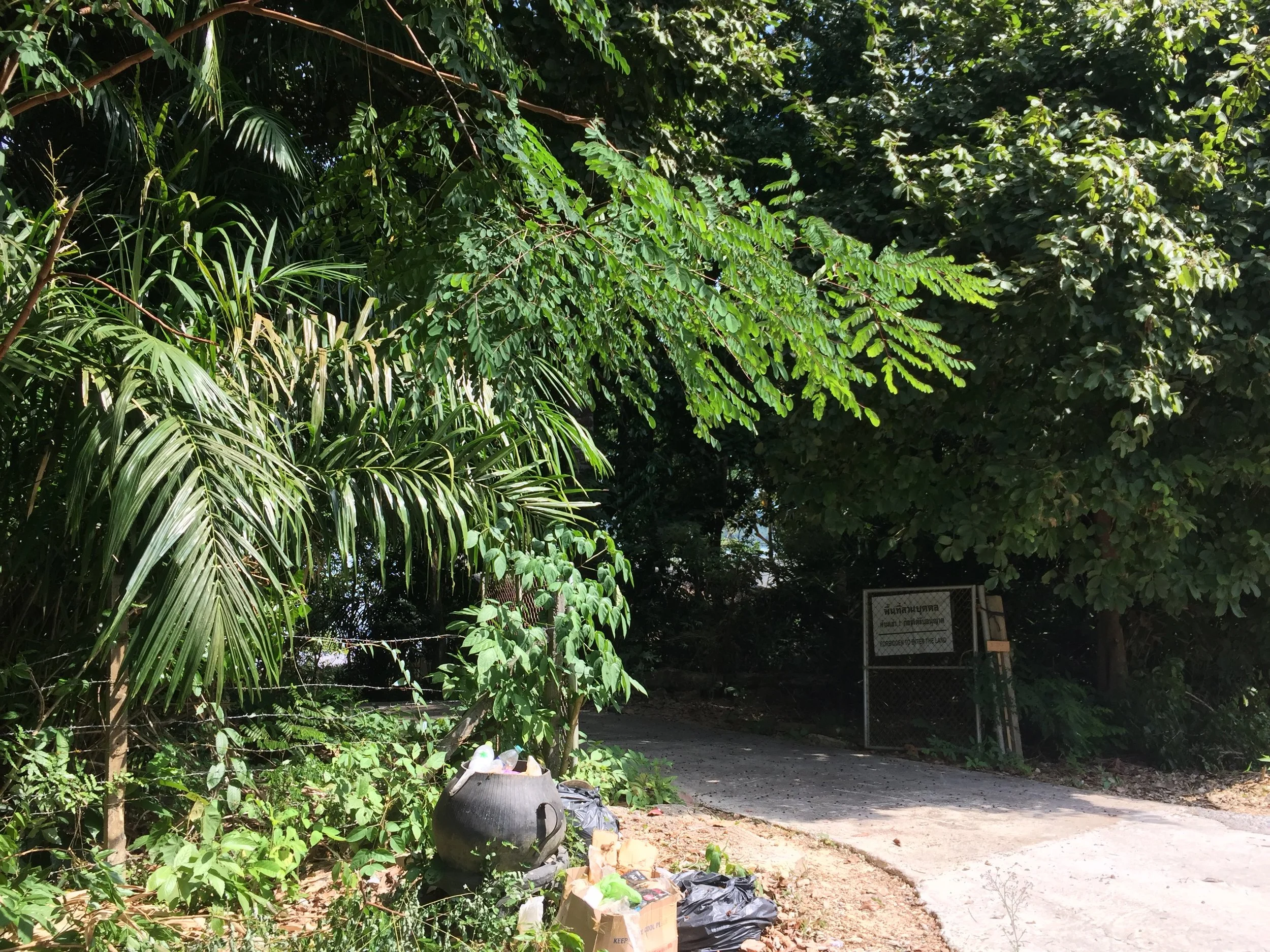 2015 Koh Lanta Garden & Nature (261).jpg