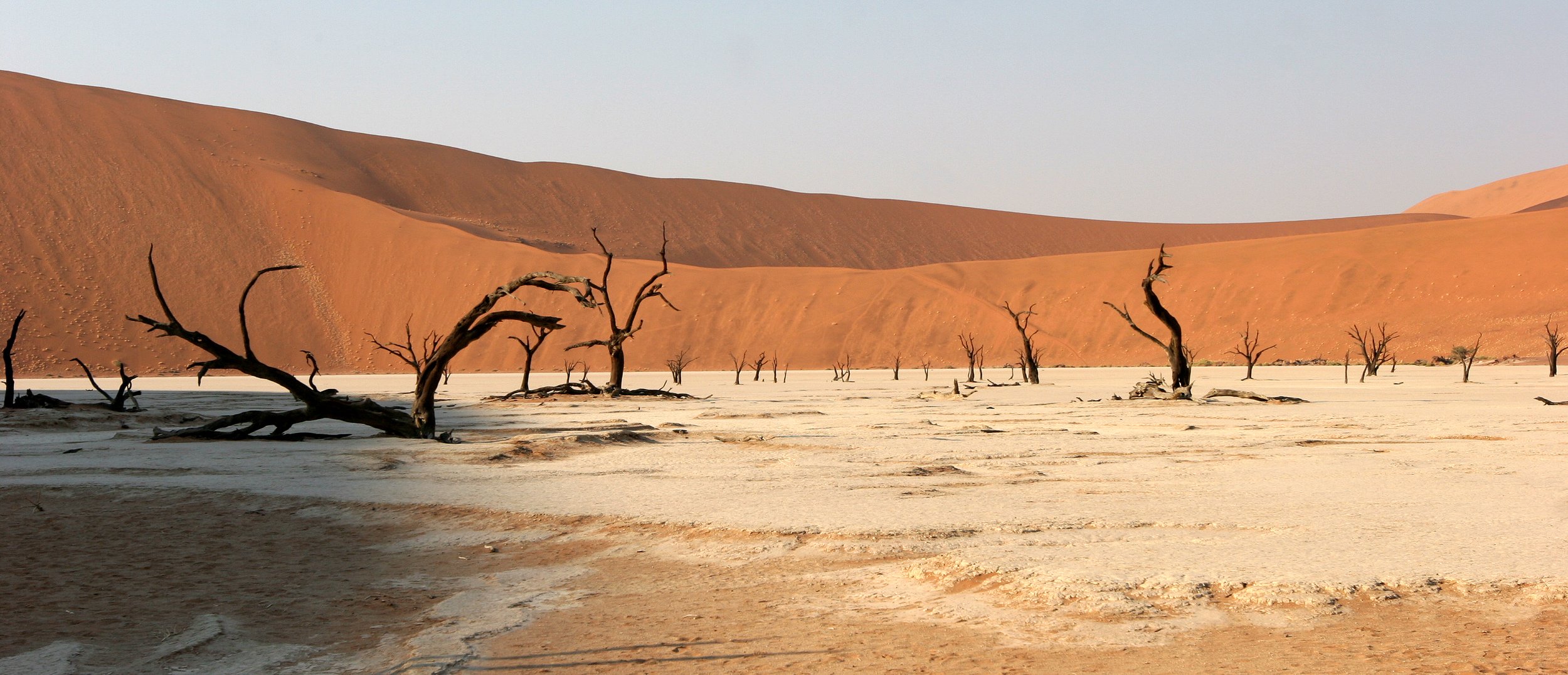 NAMIBIA - SOSSUSVLEI - DEAD VLEI - NAMIBIA (5).JPG