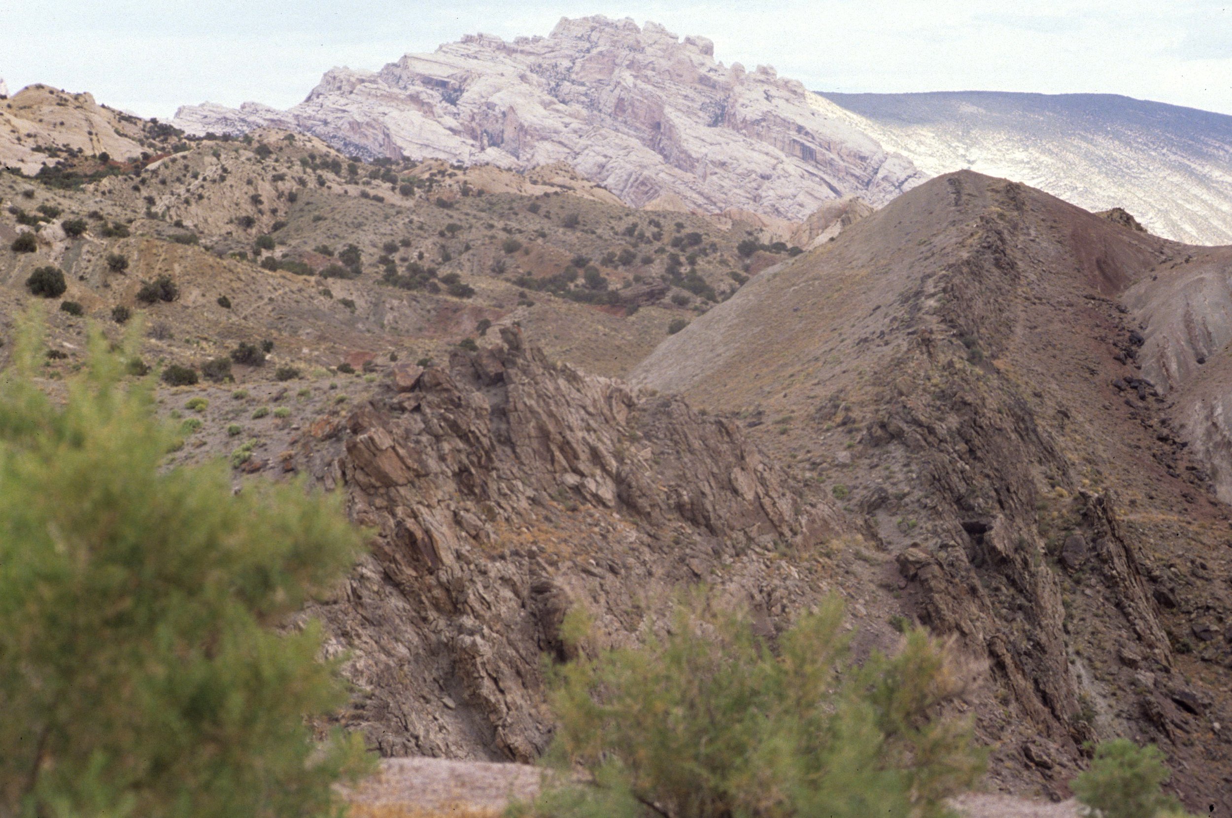 UTAH - DINOSAUR NM - BONES  (2).jpg
