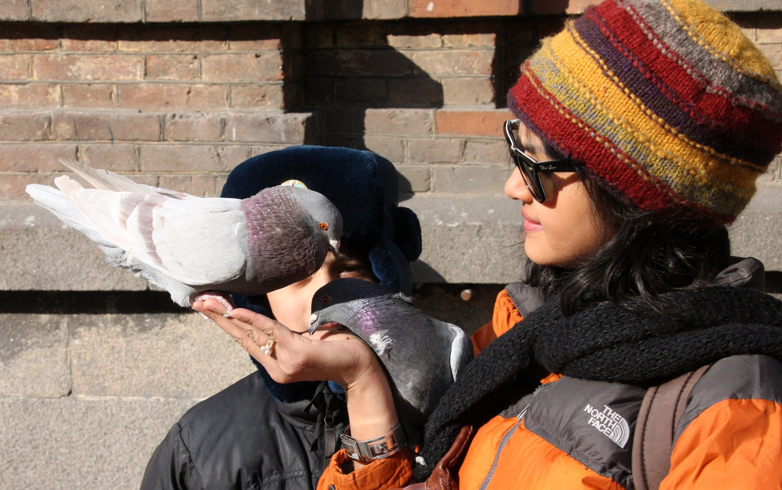 BIRD - PIGEON - HARBIN SAINT SOPHIA'S CATHEDRAL CHINA (46).JPG
