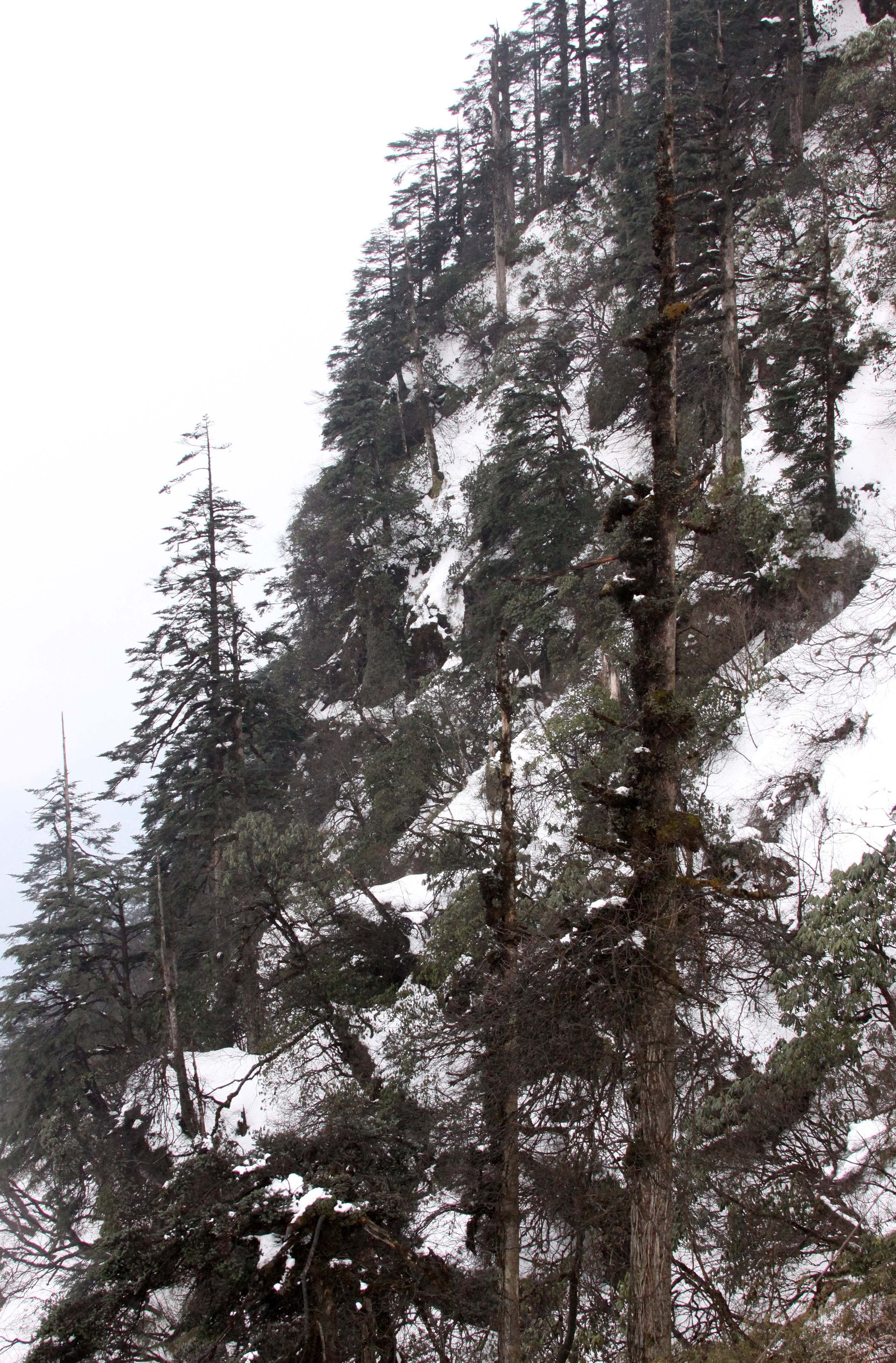 WAWU SHAN GEOPARK - SICHUAN CHINA (19).JPG