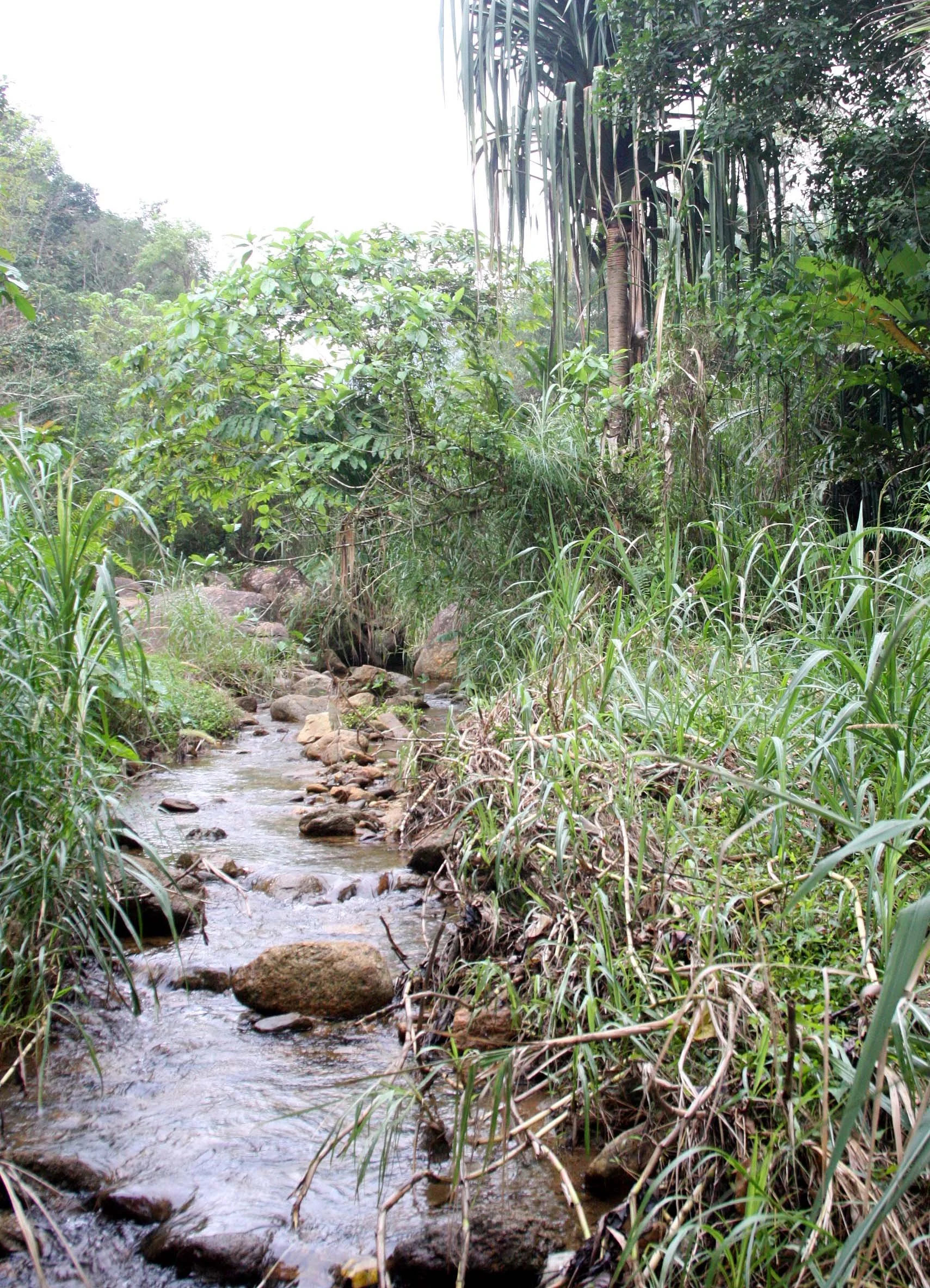 2009 Promluk Property Views (16).JPG