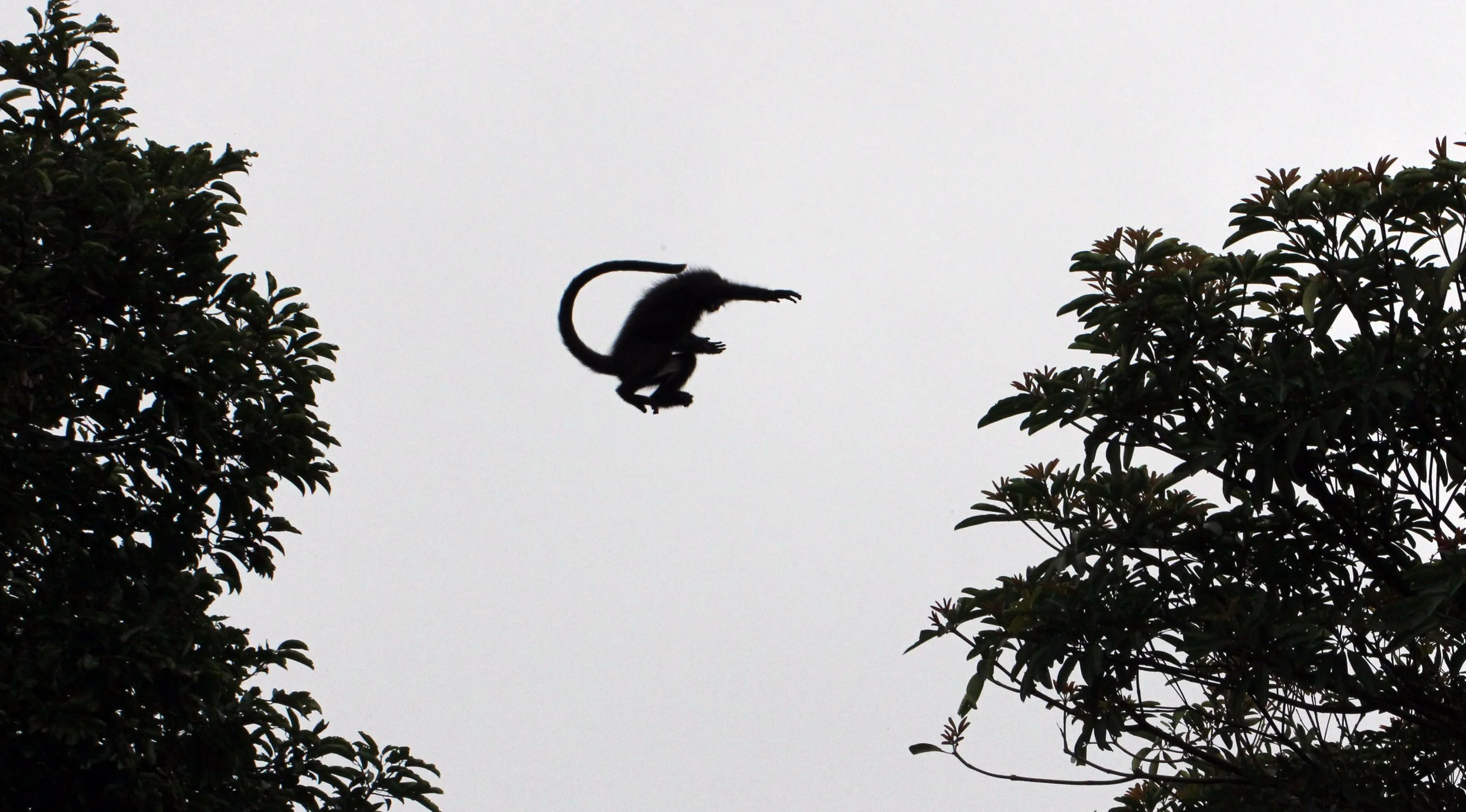 2014 Kaeng Krachan with Cokie & Som and Phil & Shelley Summer Travels (13).JPG