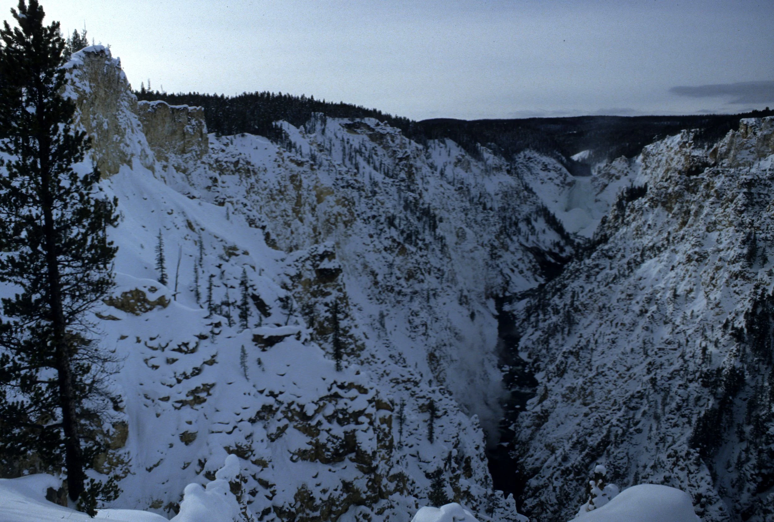 YELLOWSTONE IN WINTER DD.jpg