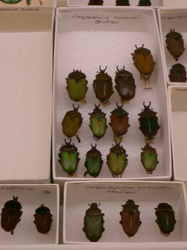 2003-12-25 CHRISTMAS IN CHICAGO (39).JPG