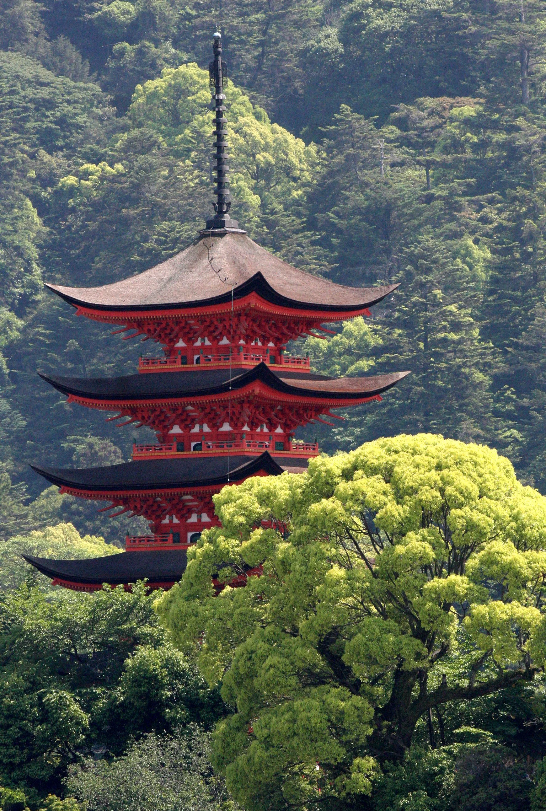MIYAJIMA - MAY 2009 - SCENES AND LANDSCAPES (48).JPG
