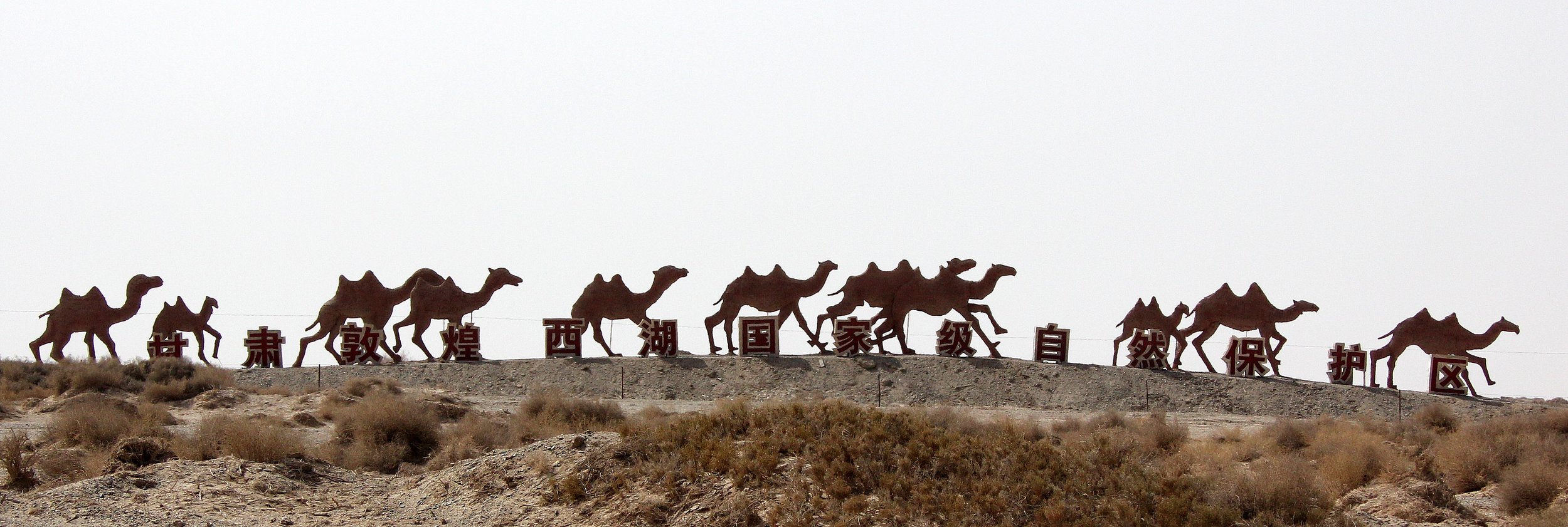 GANSU DUNHUANG XIFU NATIONAL NATURE RESERVE - GANSU CHINA (1).JPG