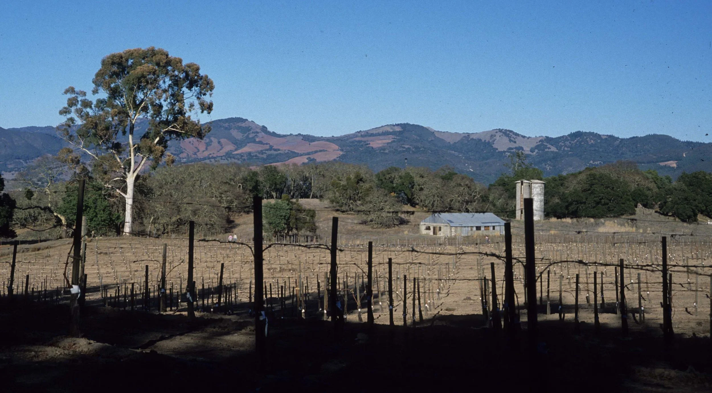 CALIFORNIA - JACK LONDON SP (2).jpg