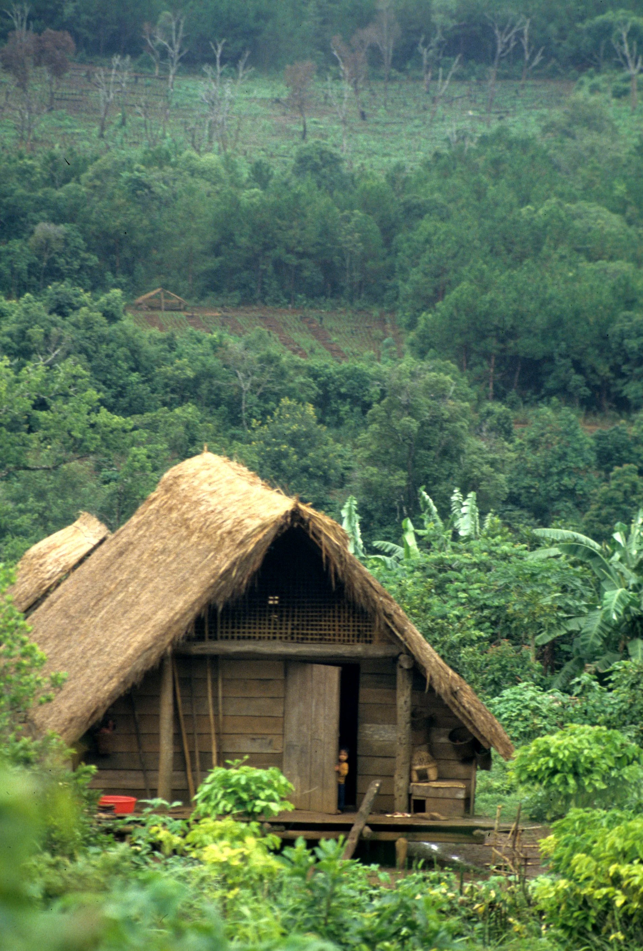 HILLTRIBE - ADAY HILL TRIBE NEAR BUNMETOUT I.jpg