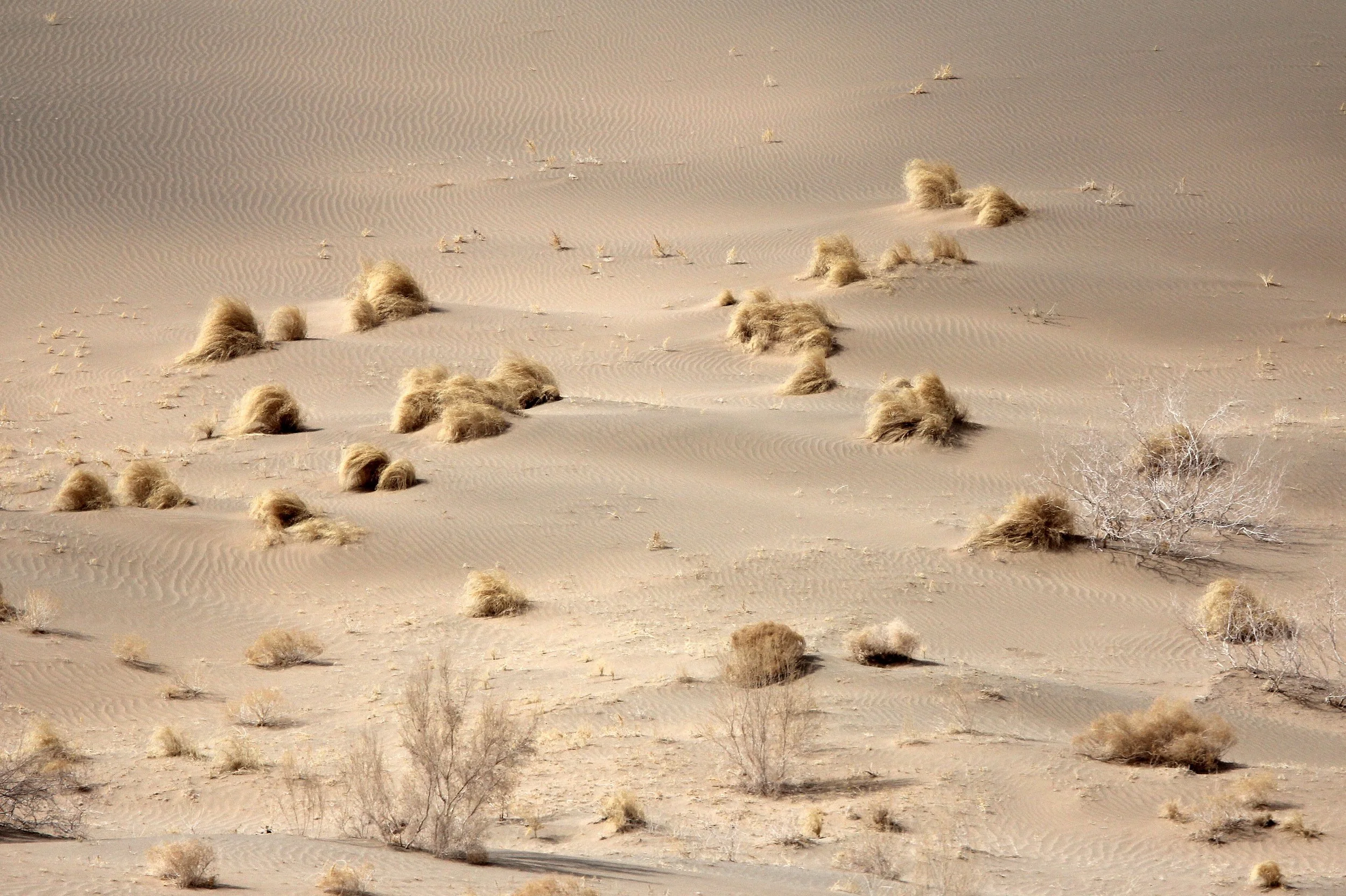GANSU - DUNES SOUTH OF DUNHUANG - CHINA (42).JPG