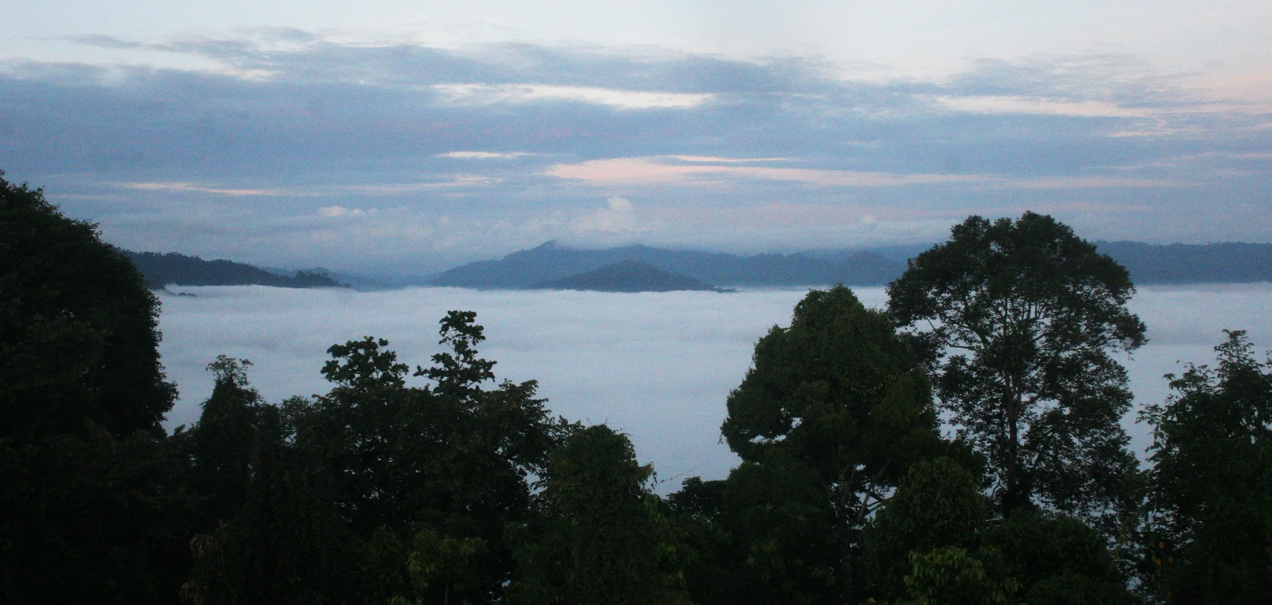 DANUM VALLEY BORNEO - SUNRISE OVER THE DANUM (96).JPG