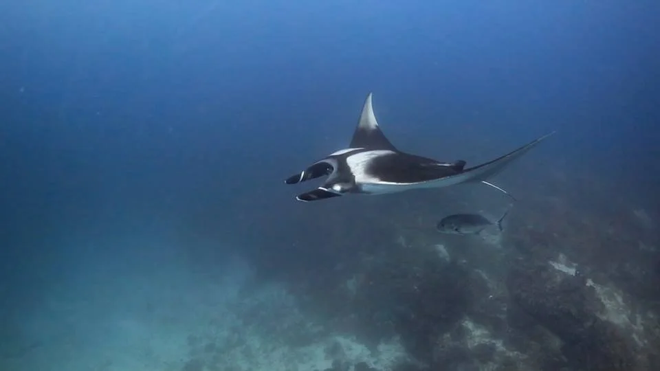 2016 Similans Trip with ISB GCW (3).jpg