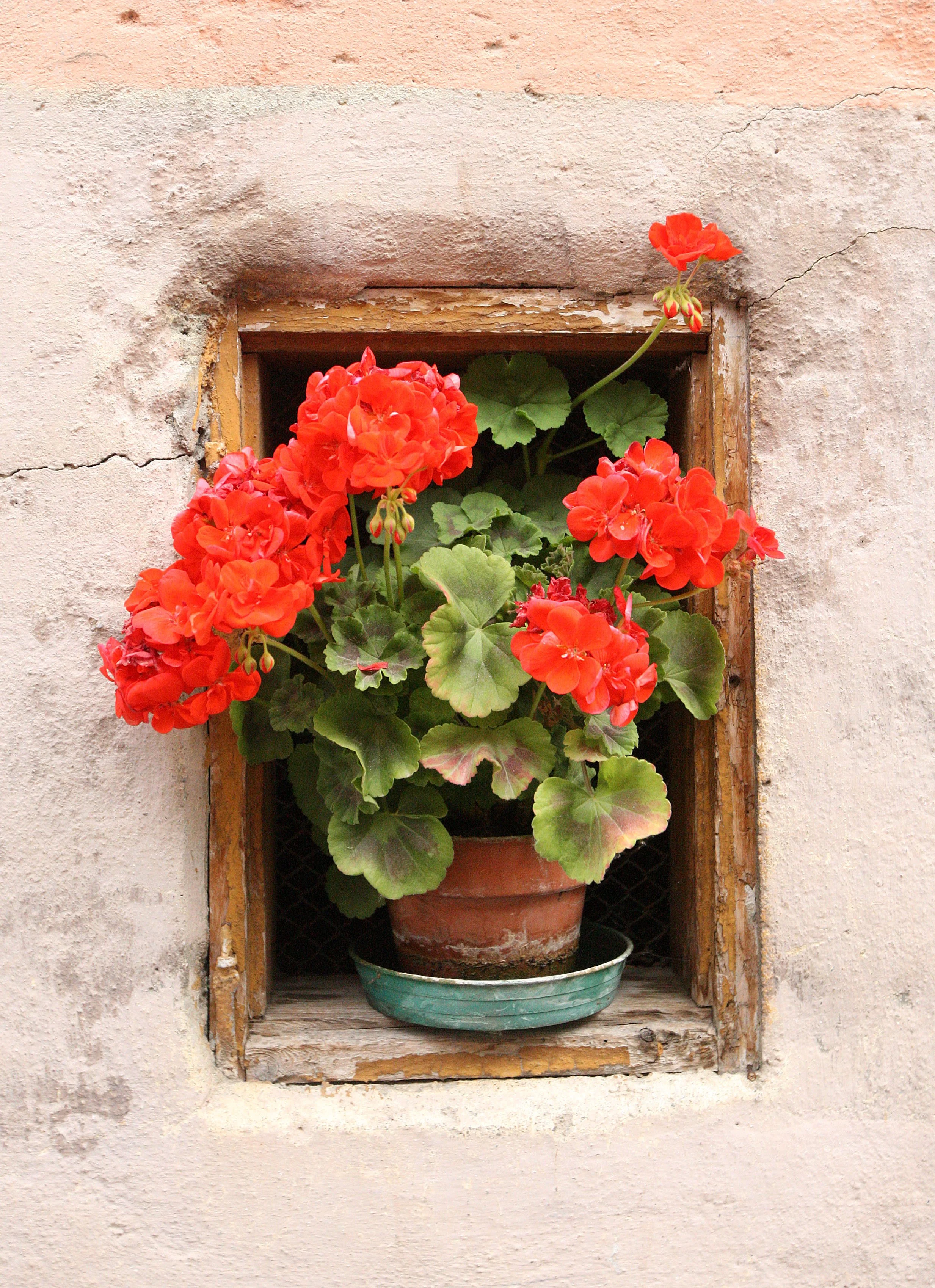 PRATO ALLO STELVIO - PRAD AM STILFSERJOCH ITALY (16).JPG
