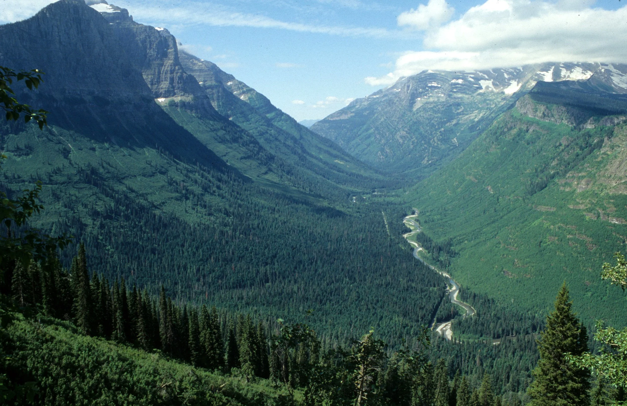 MONTANA - GLACIER NP - VIEW OF WEST SIDE.jpg