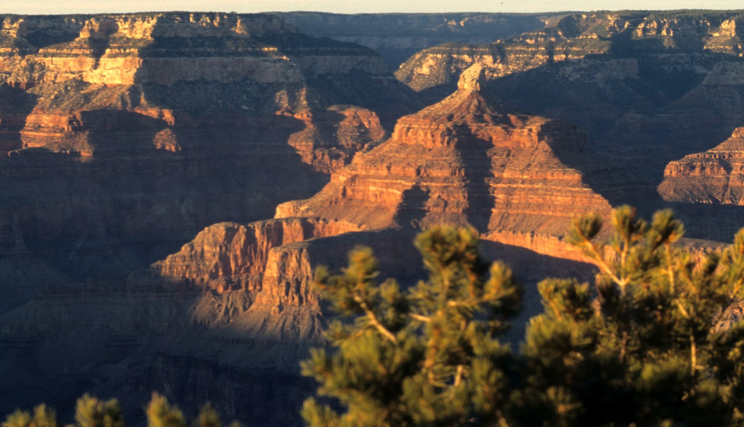 ARIZONA - GRAND CANYON NATIONAL PK (35).jpg