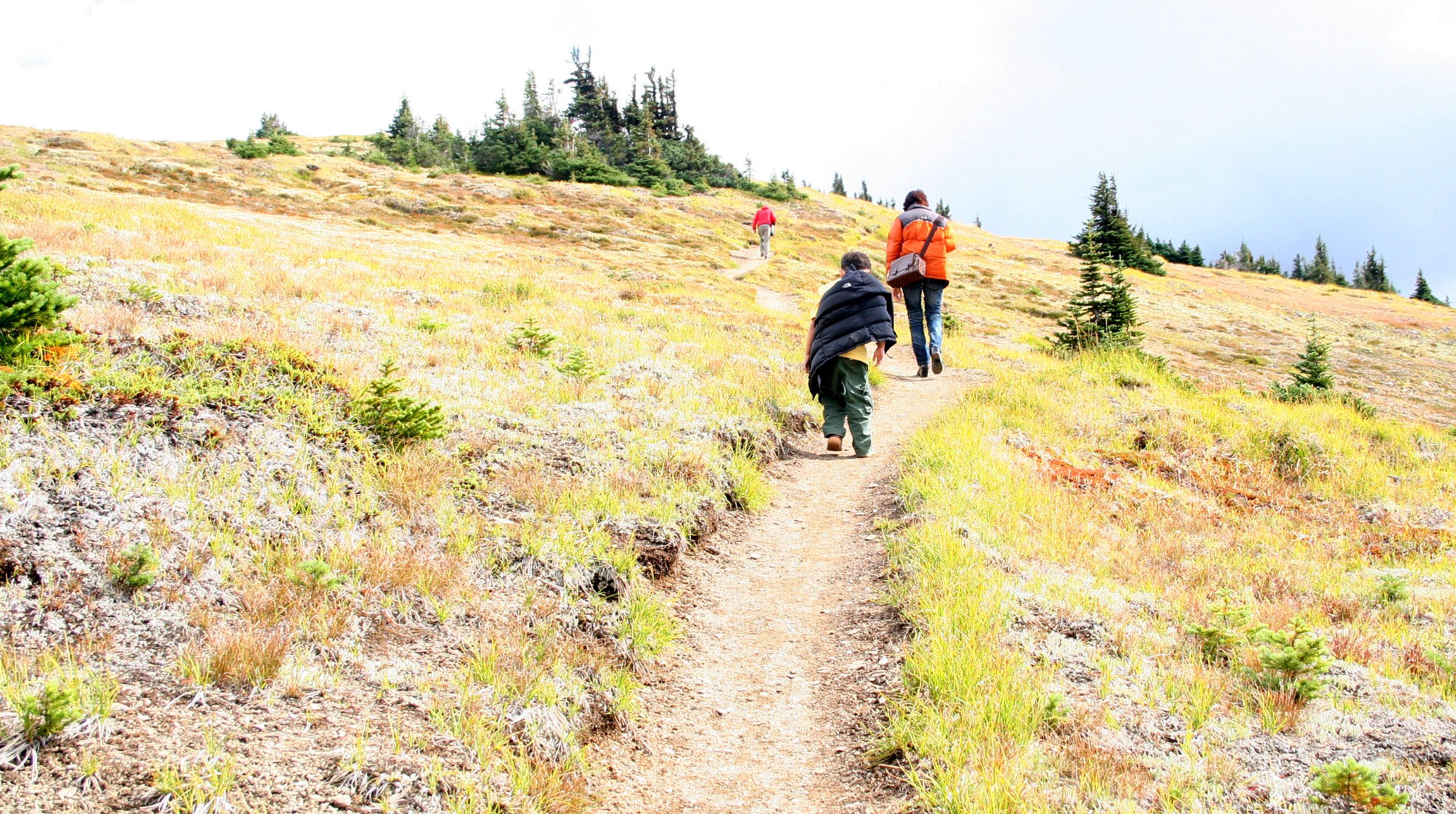 2008-9-1 DAY TRIP TO HURRICANE RIDGE (2).JPG