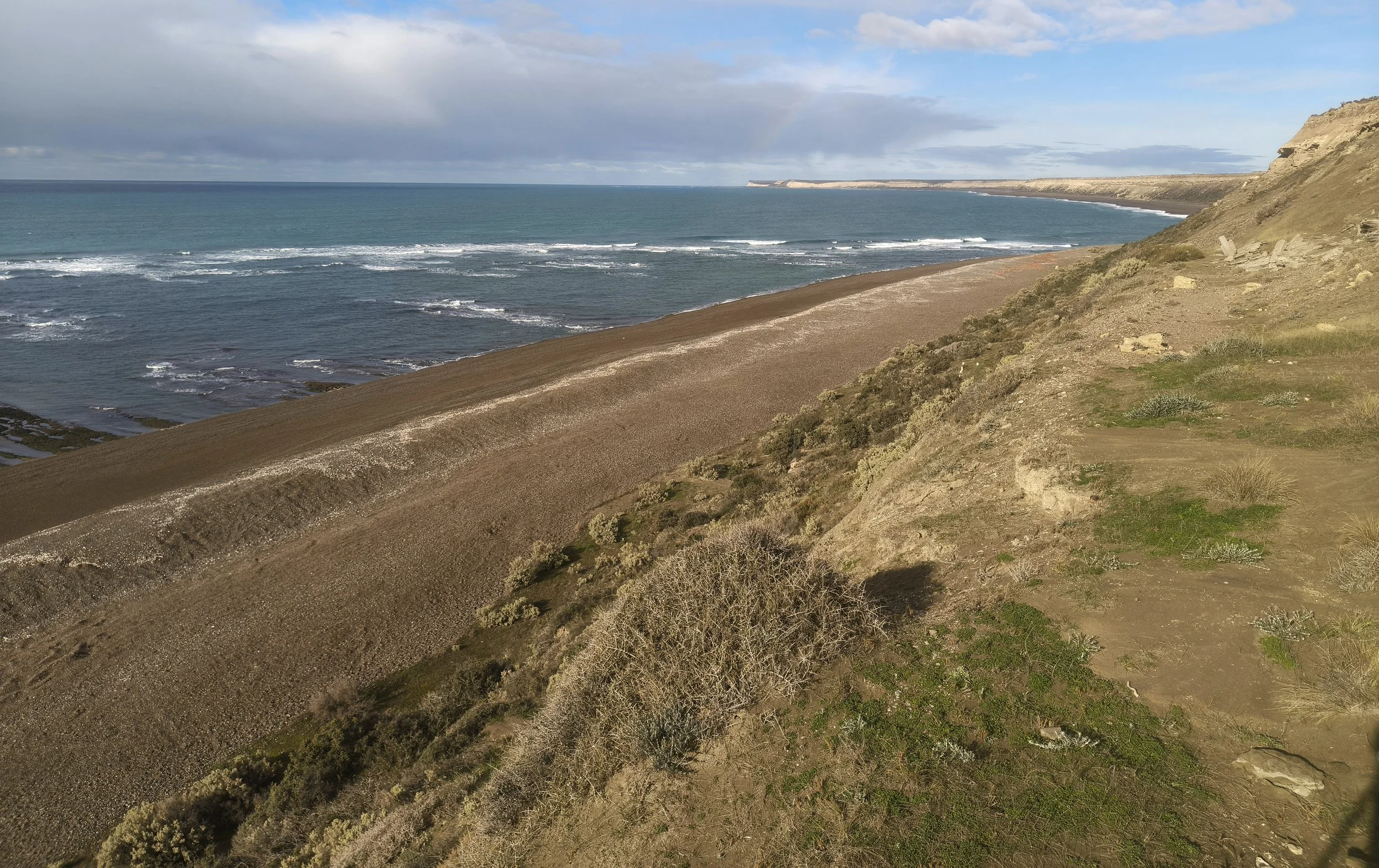 Valdes Peninsula, Chubut Province, Argentina (38).jpg