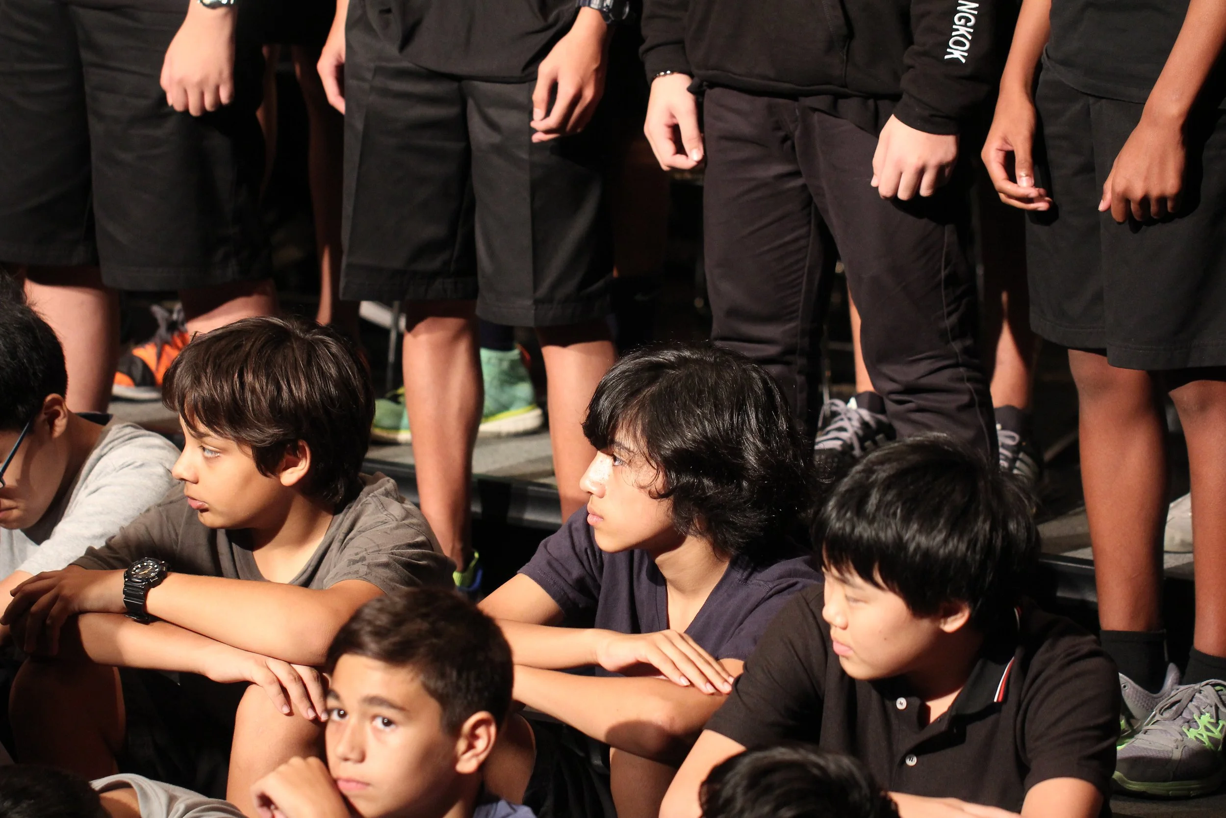 2015 Spring Concert for Cokie at ISB (13).JPG