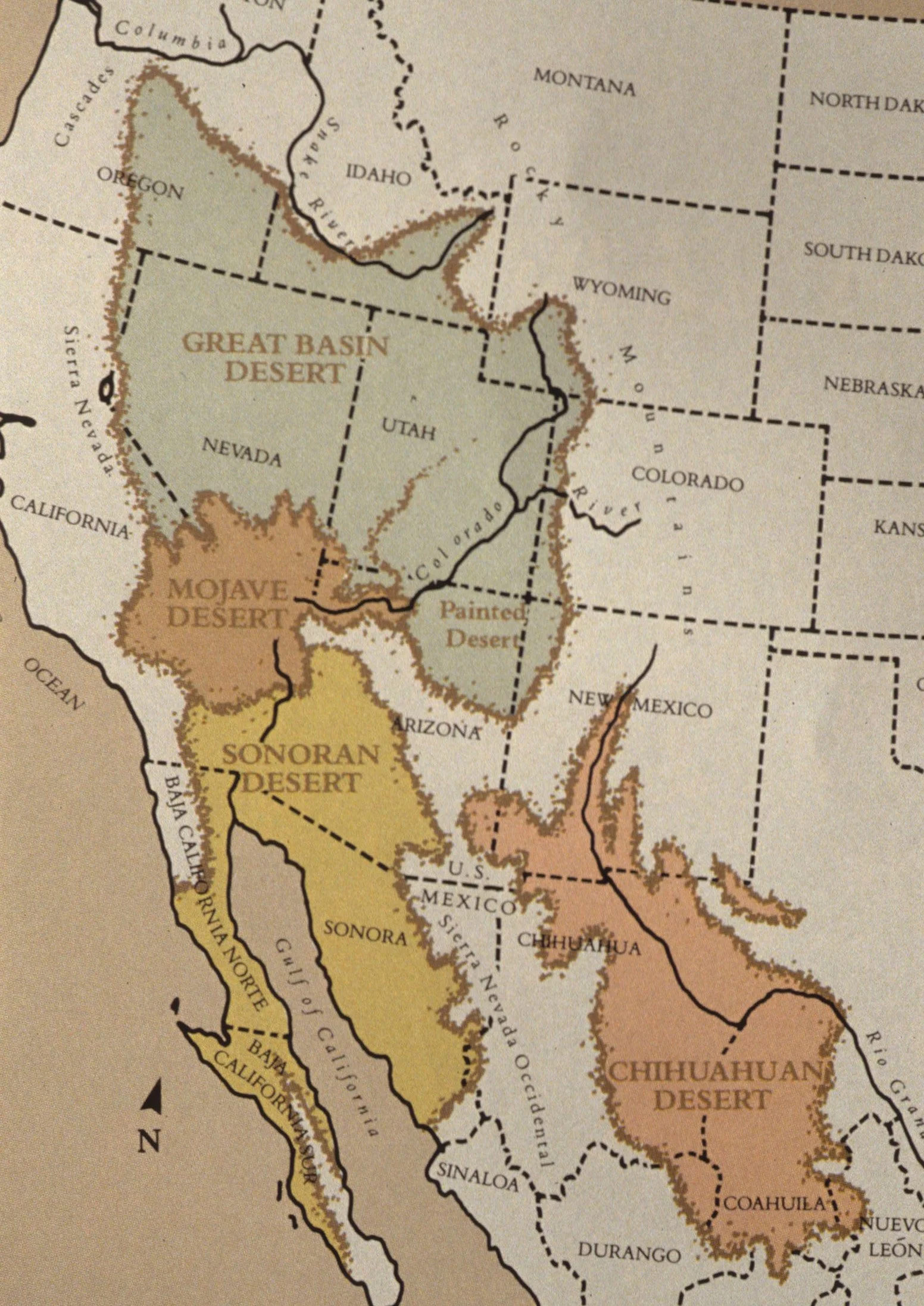 DESERT BIOMES IN NORTH AMERICA.jpg