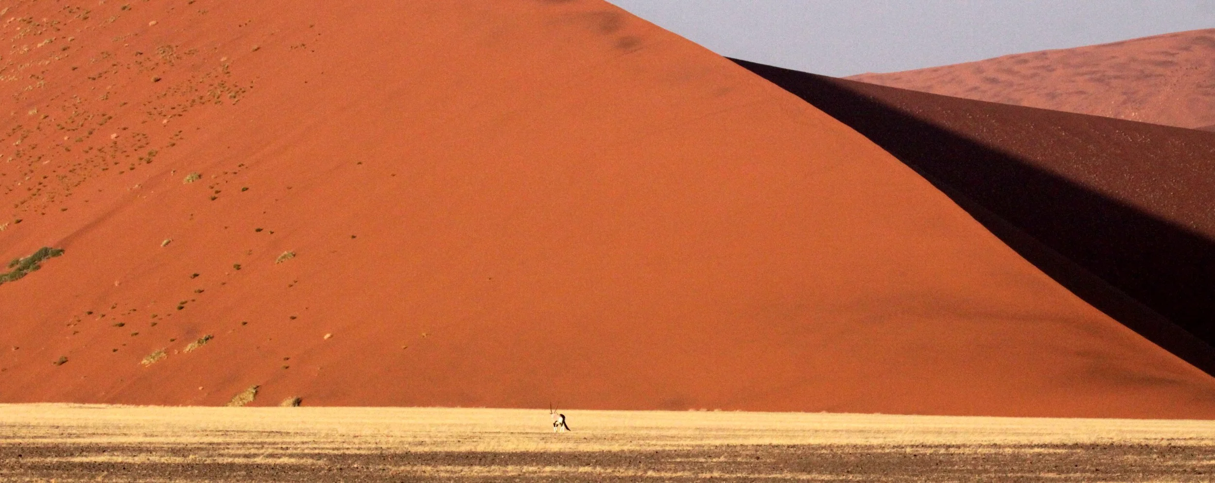 SOSSUSVLEI, NAMIB NAUKLUFT NATIONAL PARK, NAMIBIA (2).JPG