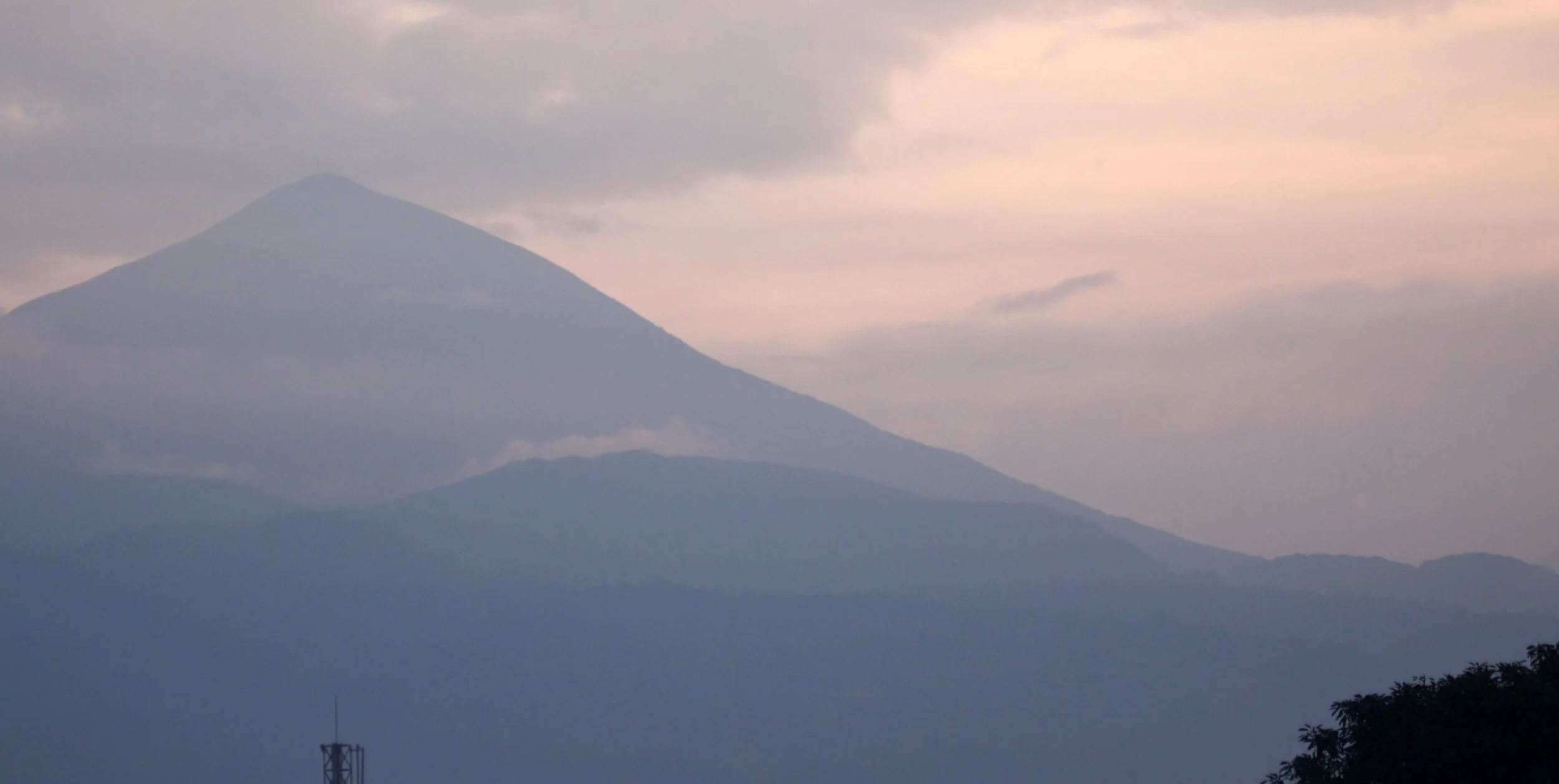 PARC DU VULCANS RWANDA (397).JPG