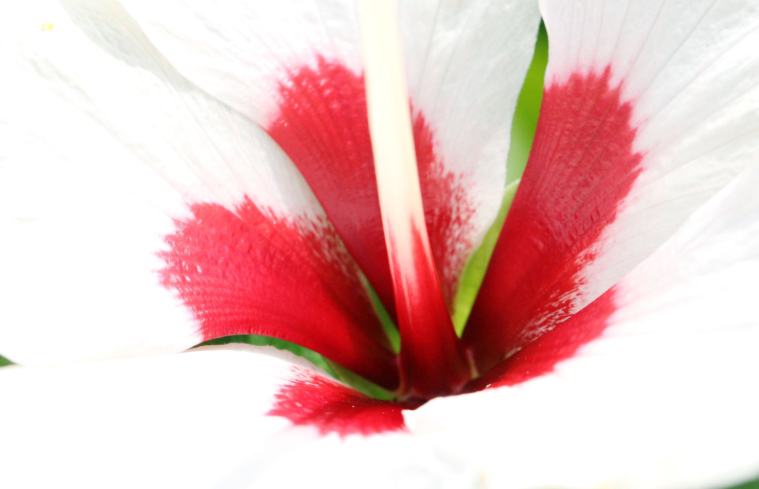 2015 Koh Lanta October Break Trip  (100).JPG