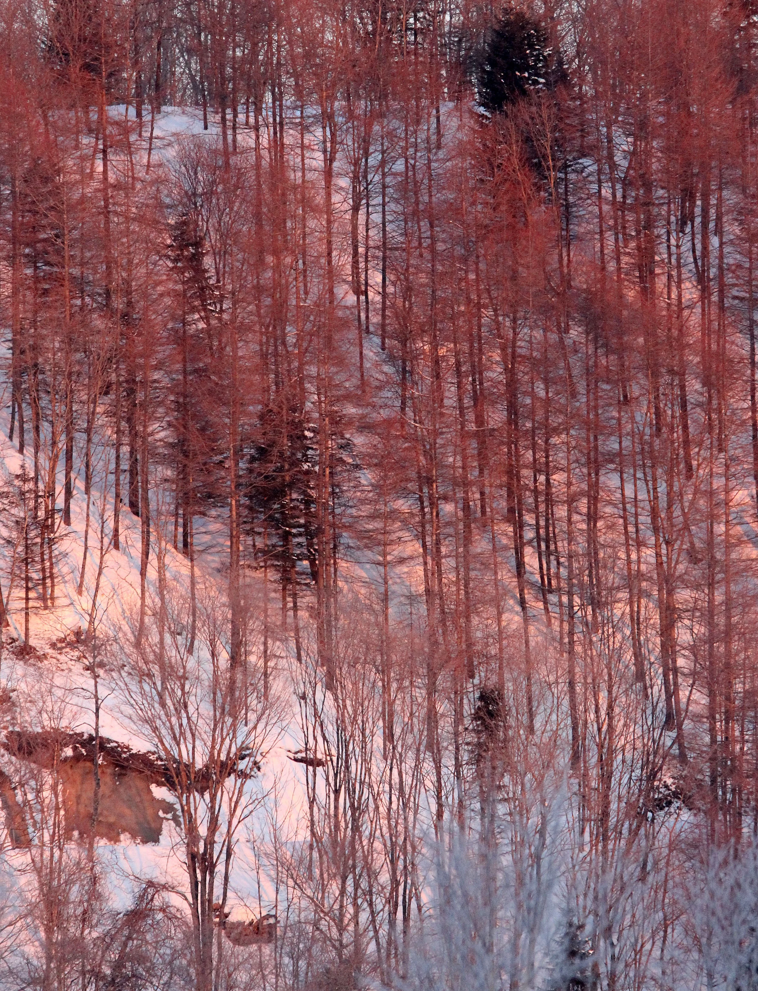 OTOWABASHI SETSUGAWA - TSURUI TOWN - HOKKAIDO JAPAN (8).JPG