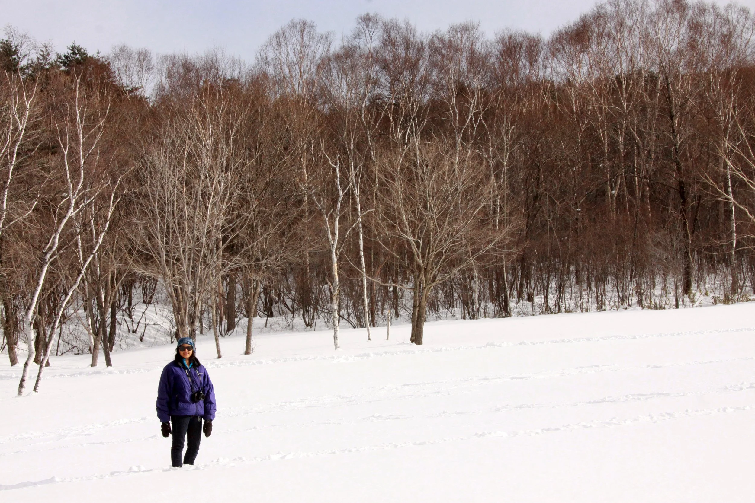 MOUNT ASAMA - JOSHIN'ETSUKOGEN NATIONAL PARK JAPAN (58).JPG