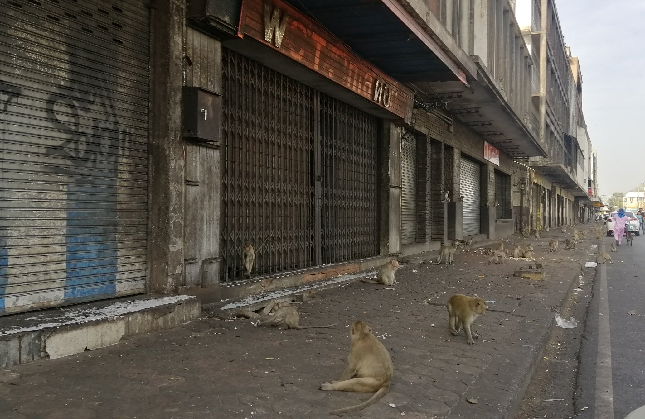2020 Lopburi City and Temples with Cokie (7).jpg