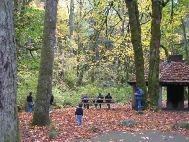 2005-10-22 TREK IN TO OLYMPIC RAINFOREST IN FALL.JPG