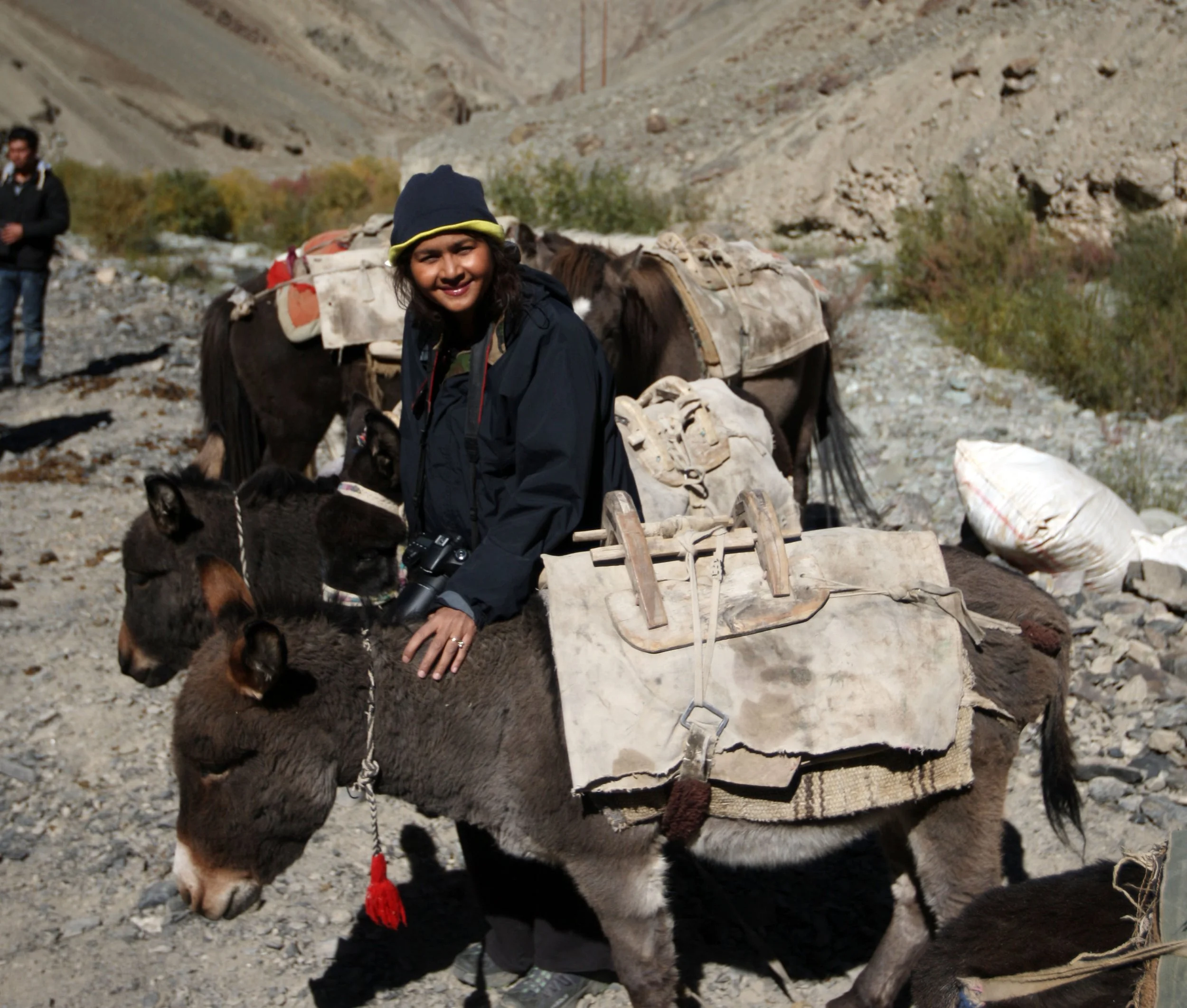 HEMIS NATIONAL PARK - LADAKH INDIA - JAMMU & KASHMIR NEAR RUMBAK VILLAGE (410).JPG