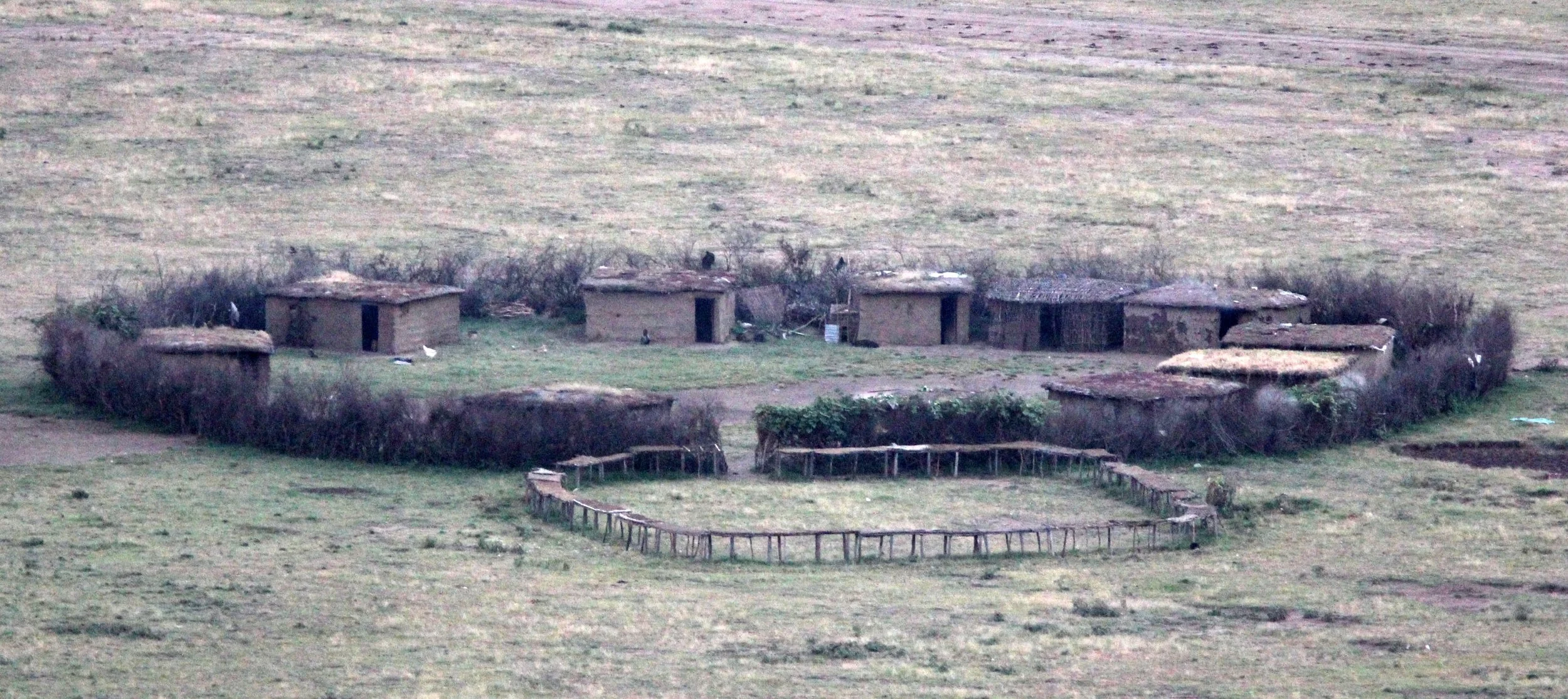 MASAI MARA NATIONAL PARK KENYA (3).JPG