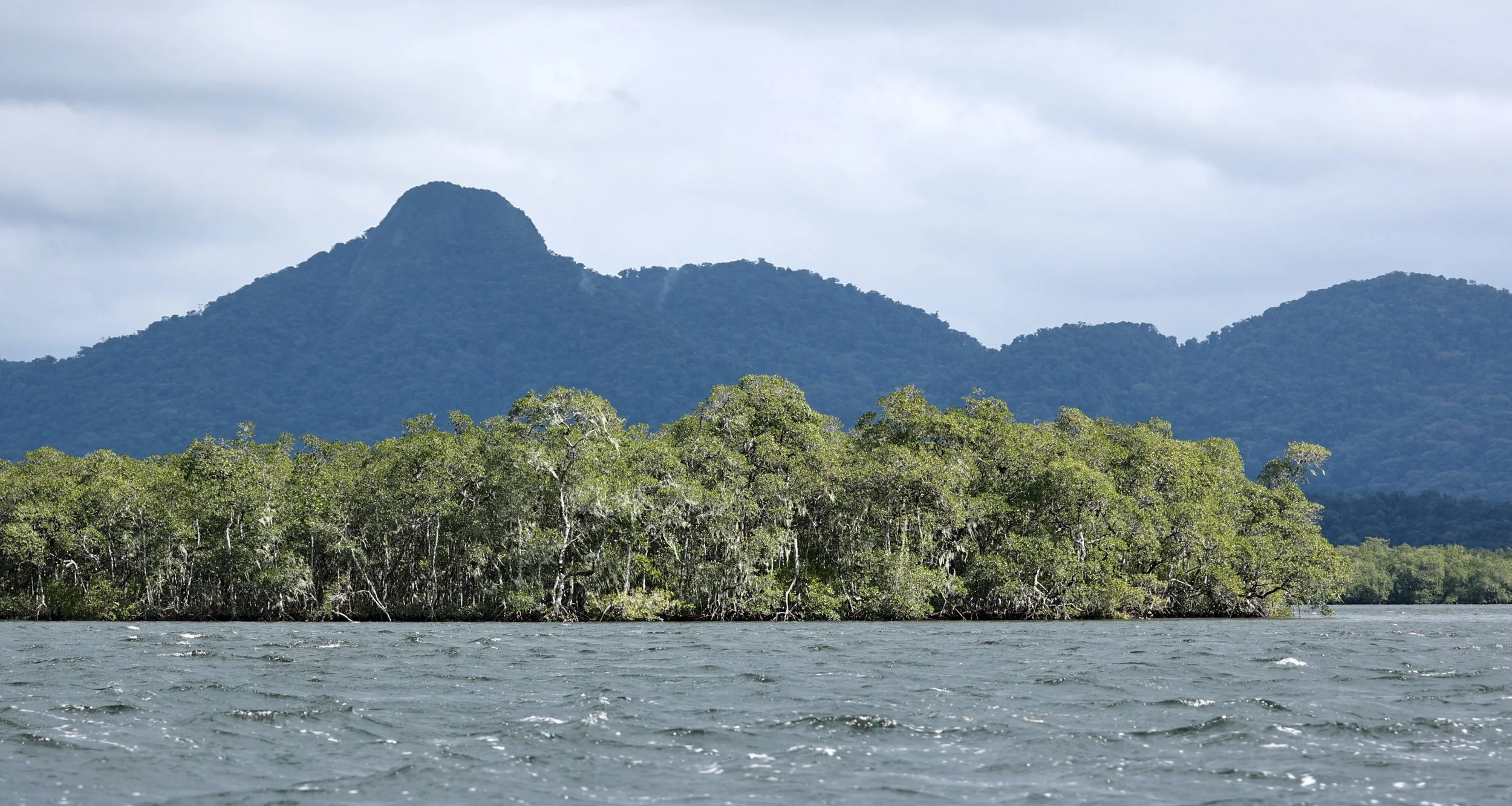 Superagüi National Park