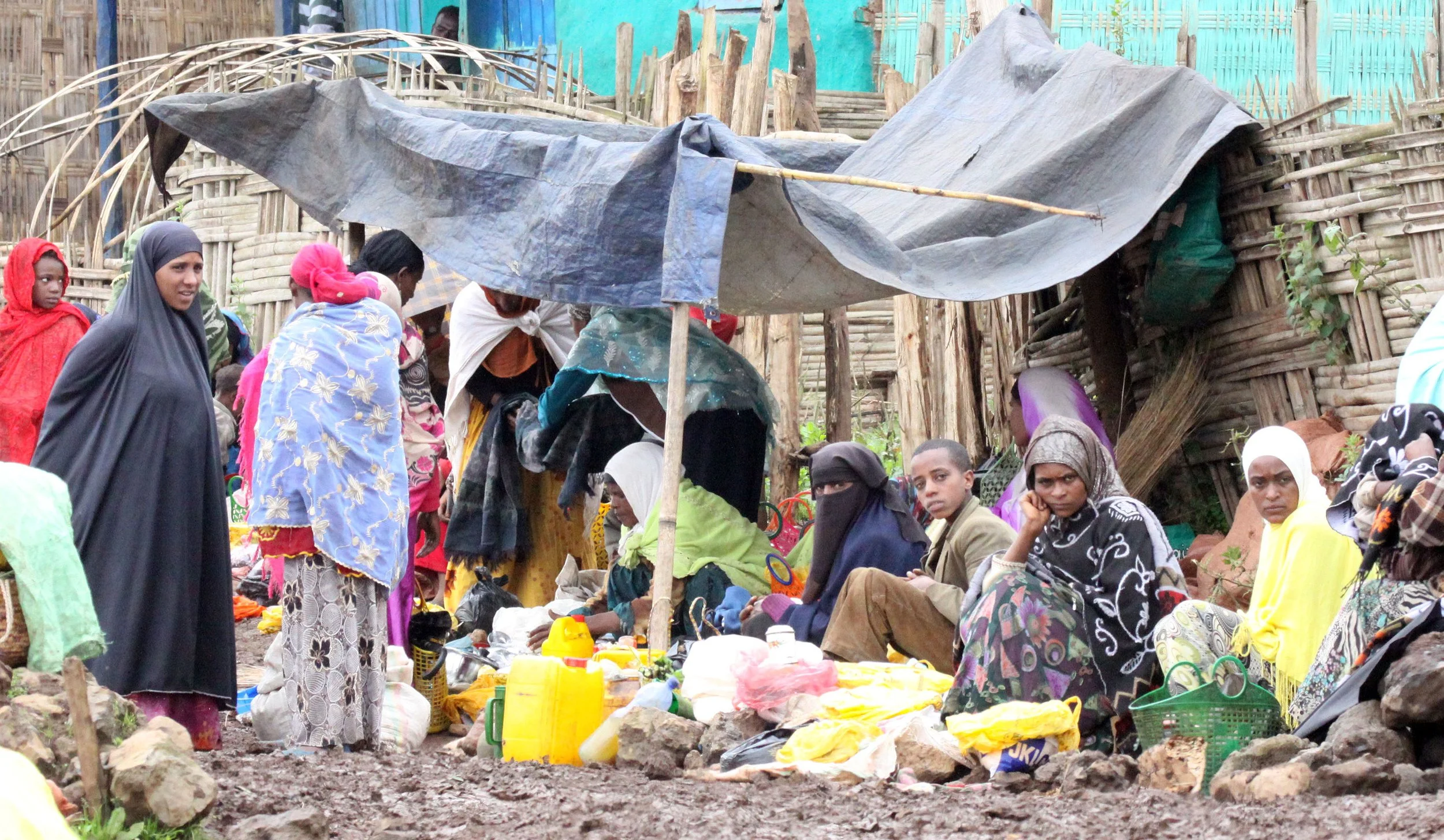 BALE MOUNTAINS NATIONAL PARK ETHIOPIA - HARRENA FOREST (6).JPG