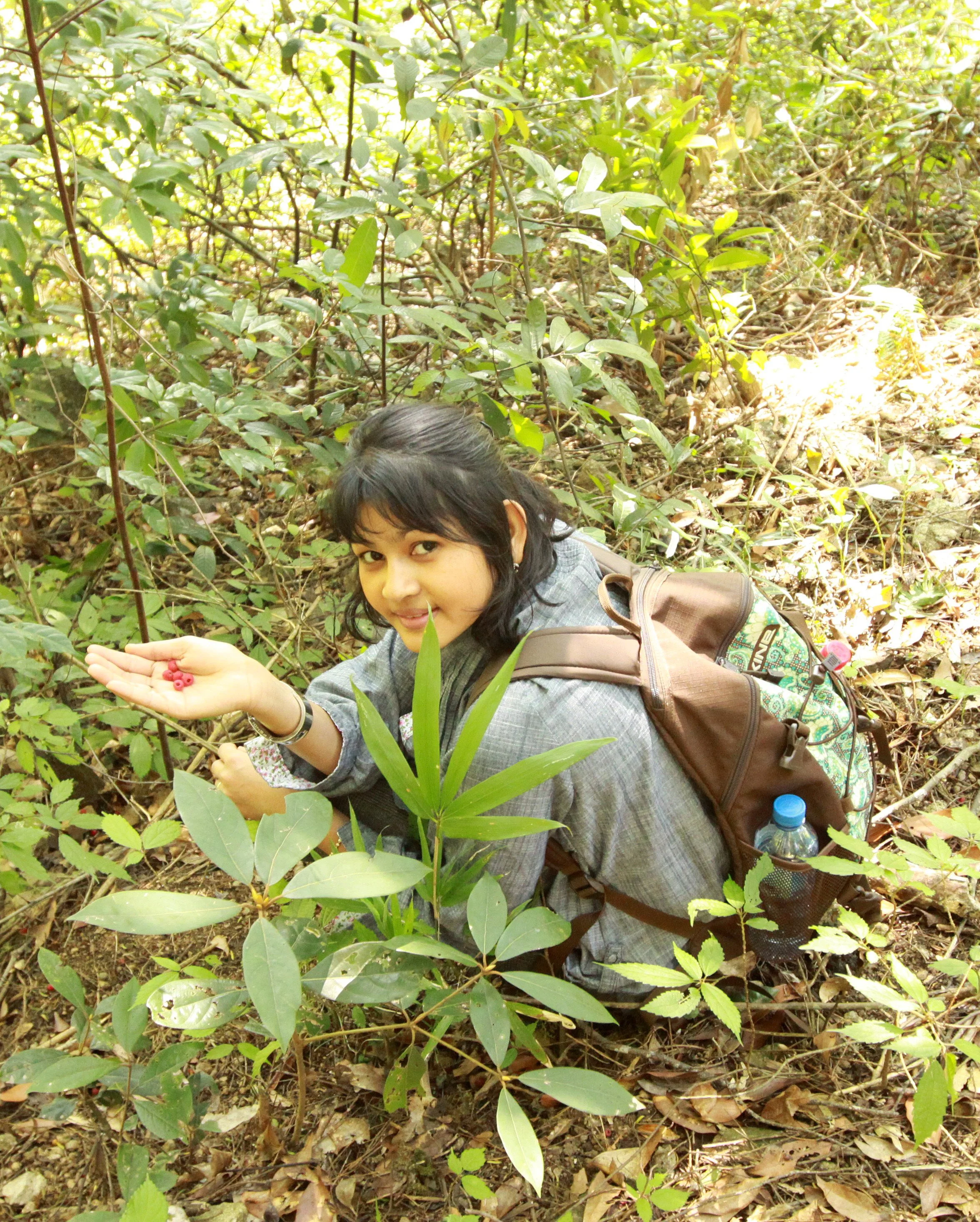 TAXACEAE - TAXUS CHINENSIS MAIREI - CHINESE YEW RESERVE FUJIAN CHINA (10).JPG