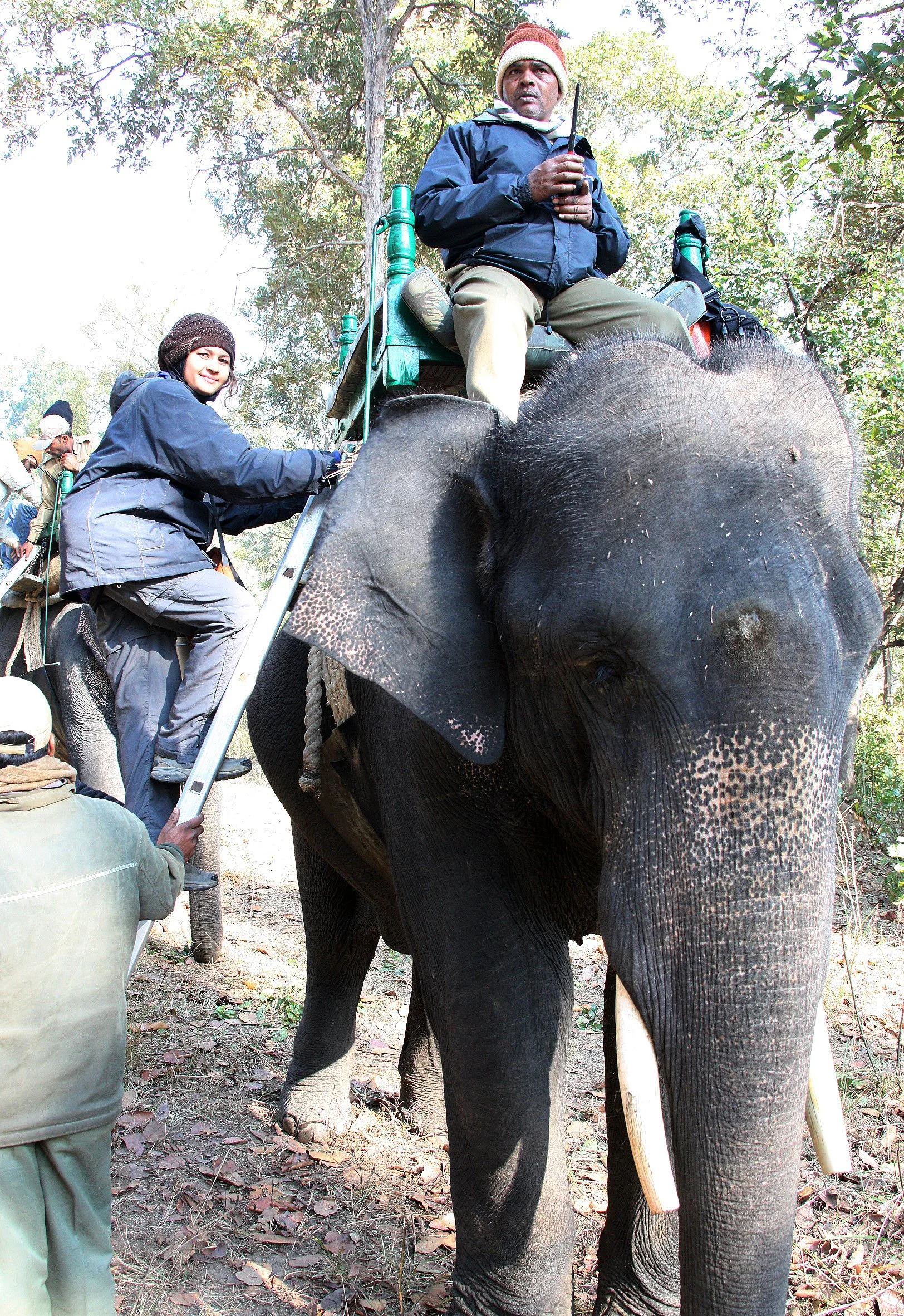 MADHYA PRADESH - KANHA NATIONAL PARK MADHYA PRADESH INDIA (10).JPG