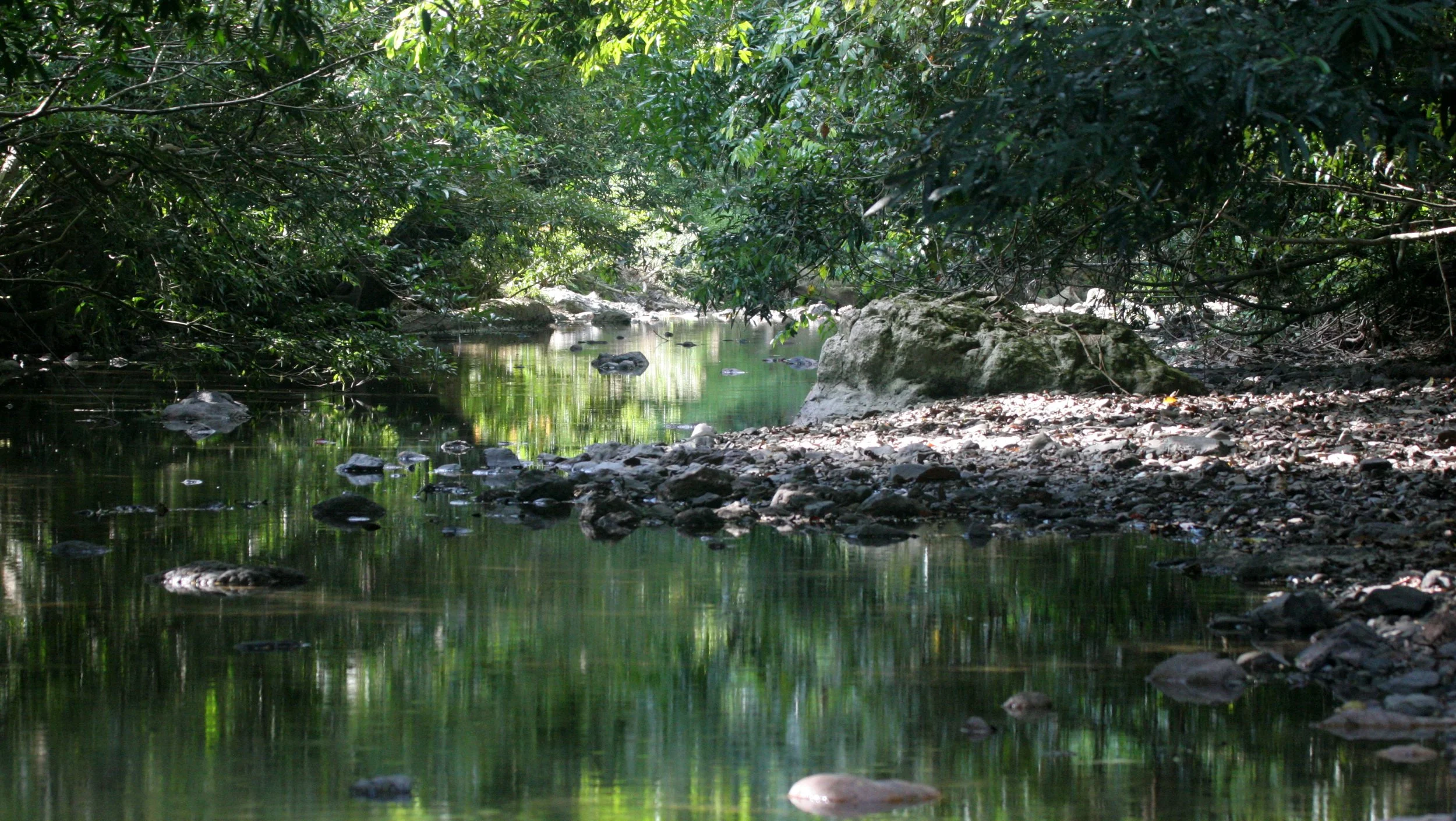 TABIN WILDLIFE RESERVE BORNEO - STREAM.JPG