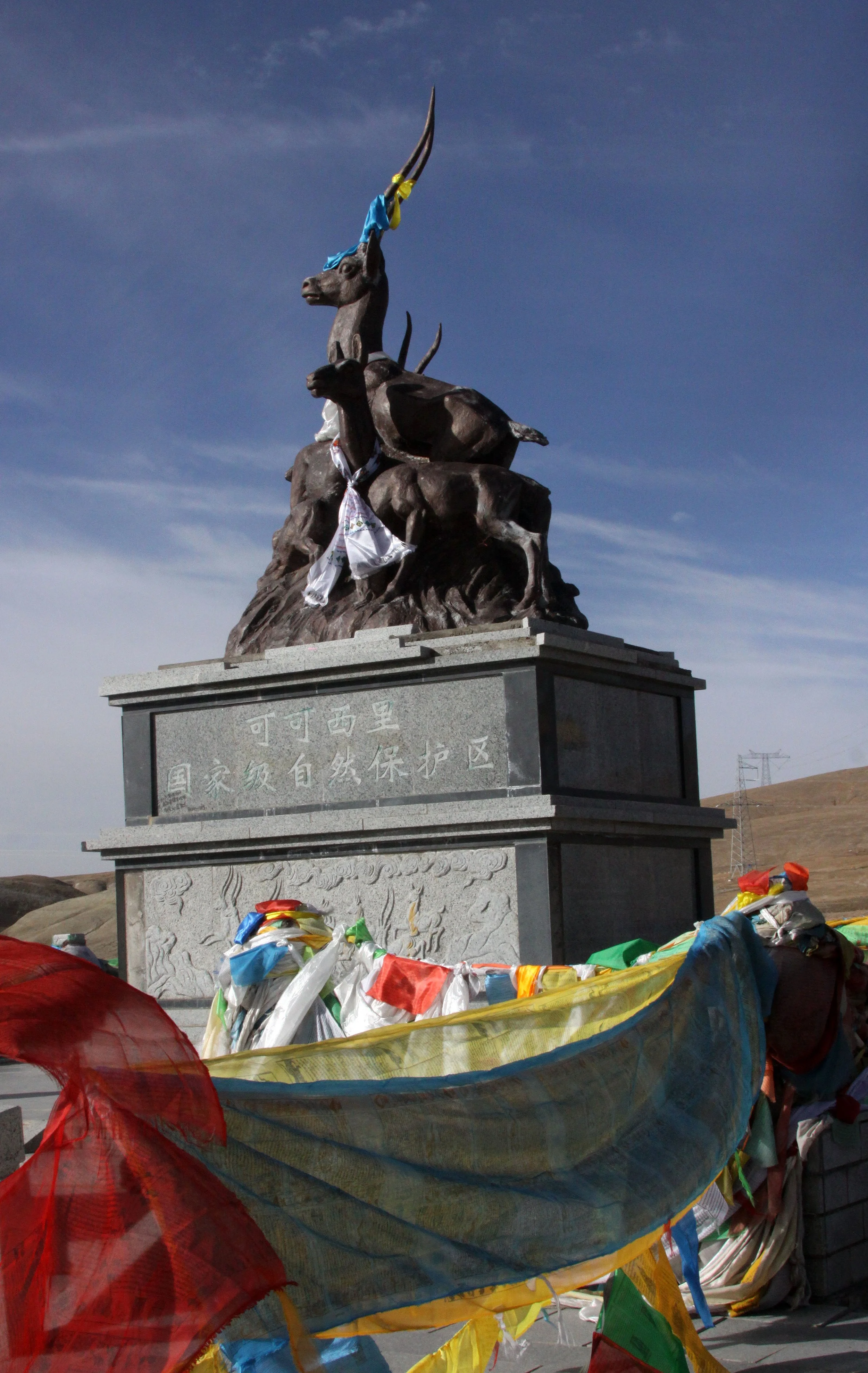 KEKEXILI NATIONAL RESERVE - QINGHAI CHINA (12).JPG