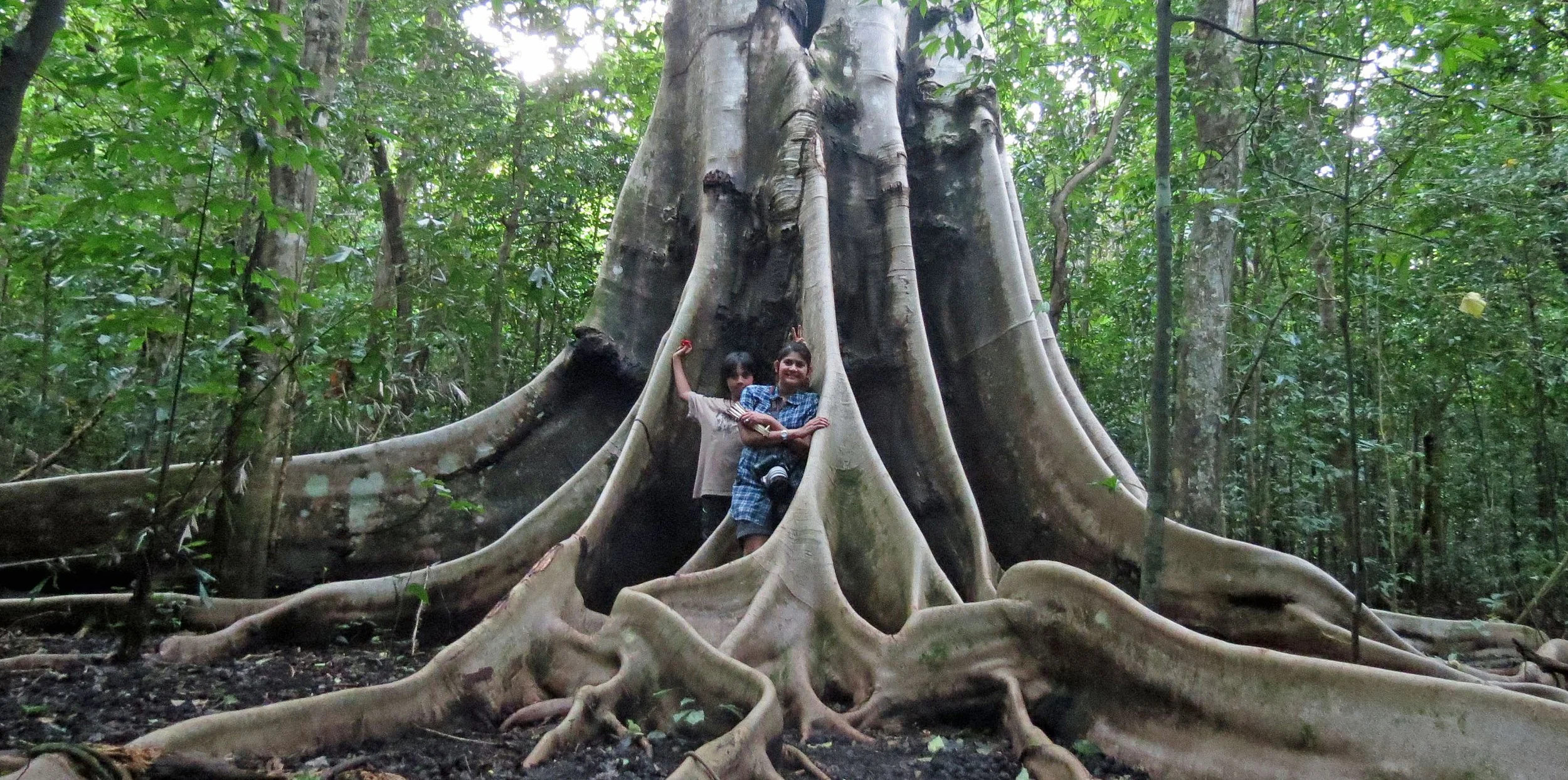 TANGKOKO NATIONAL PARK SULAWESI INDONESIA (92).JPG