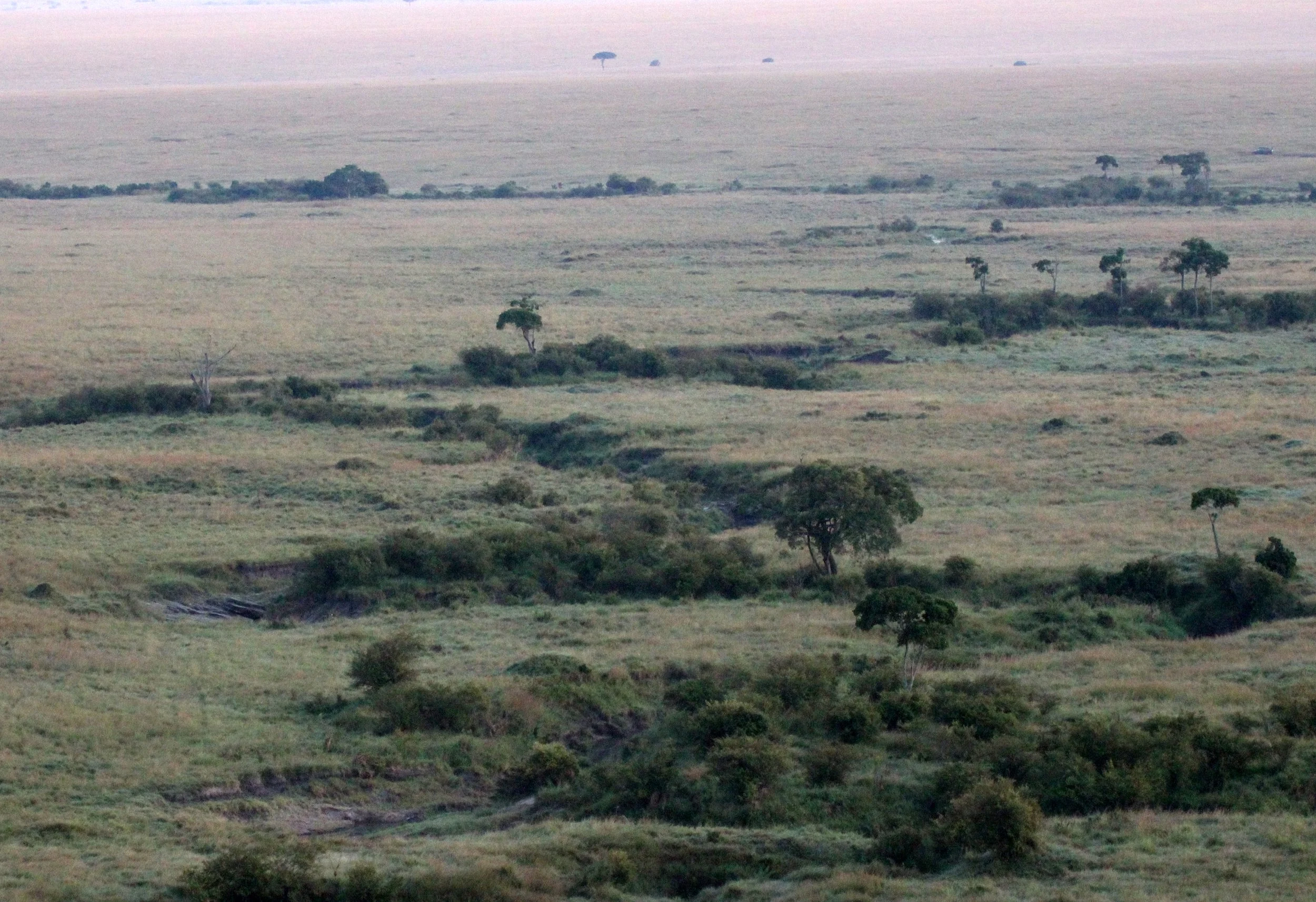 MASAI MARA NATIONAL PARK KENYA (208).JPG