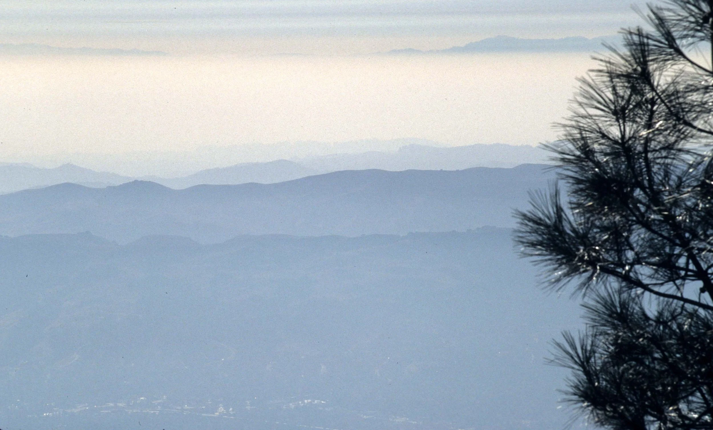 CALIFORNIA - MOUNT DIABLO VIEWS (3).jpg