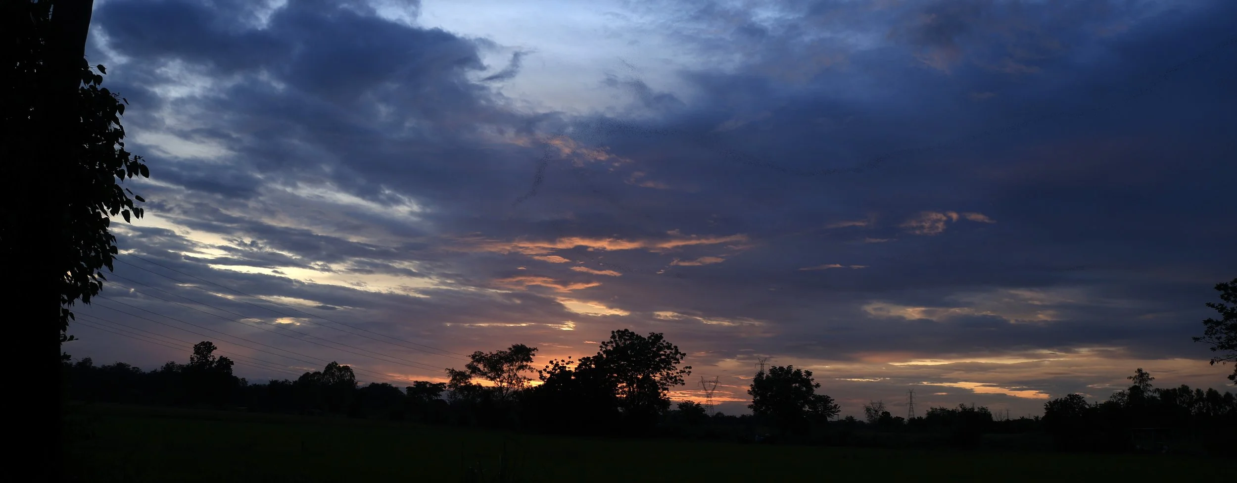 Khao Nor Khao Kaew Bat Viewing Nakhon Sawan (60).jpg