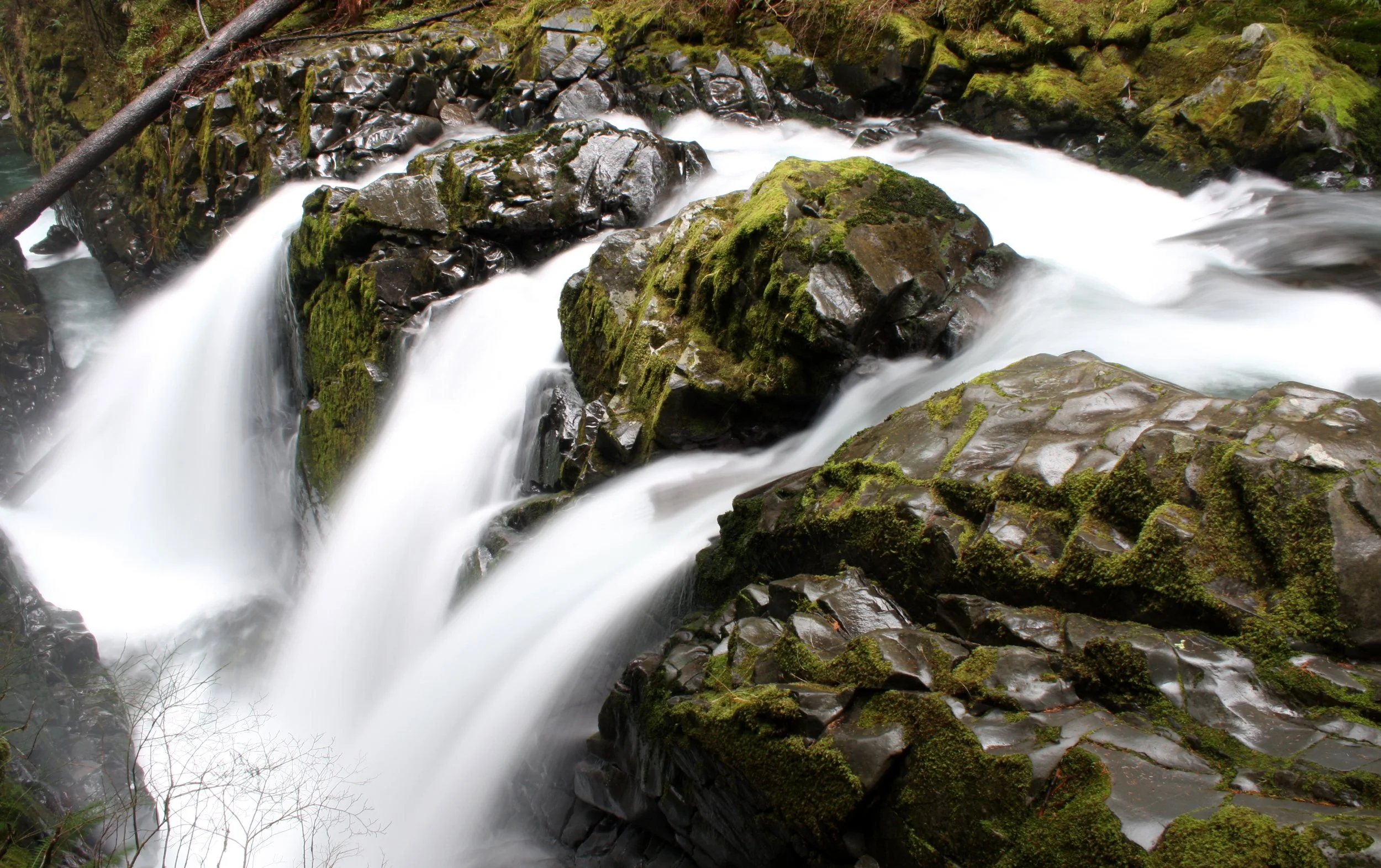 SOL DUC FALLS AND FOREST - ONP WA (57).JPG